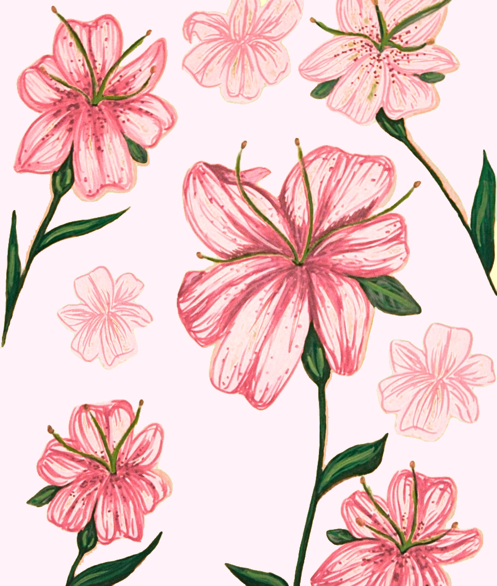 Lillies in Bloom print (in blush)