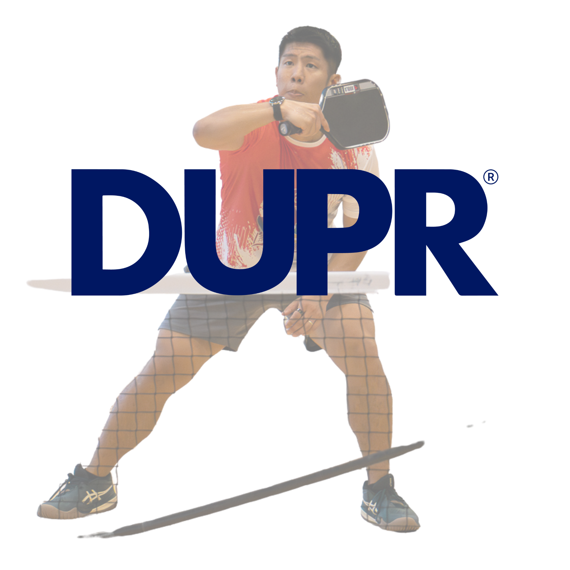 High Level Pickleball Games