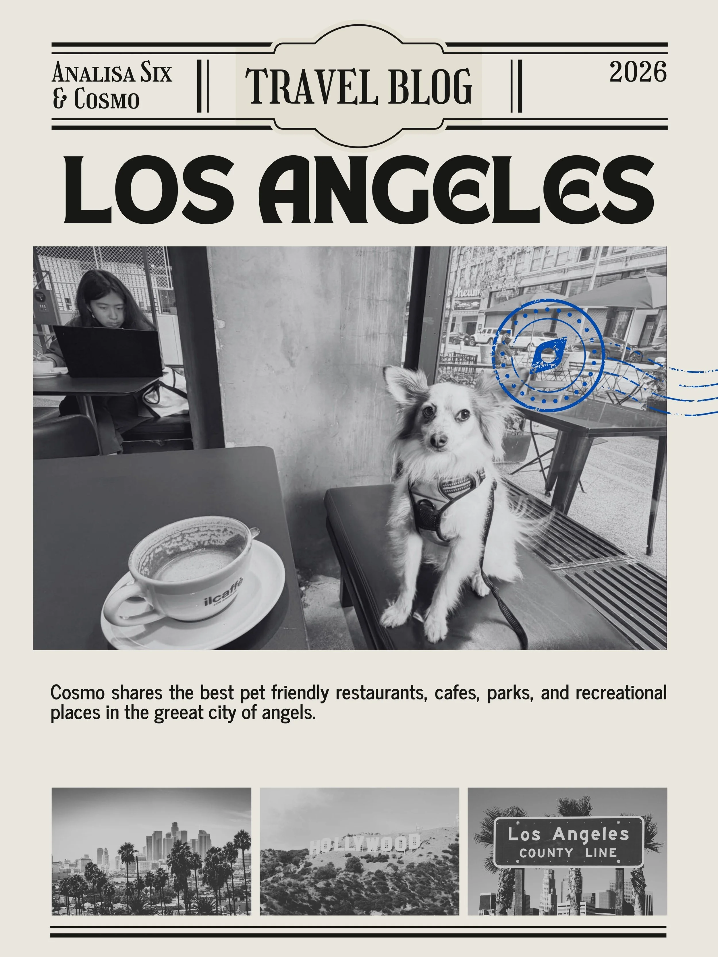 To be a dog mom in Los Angeles