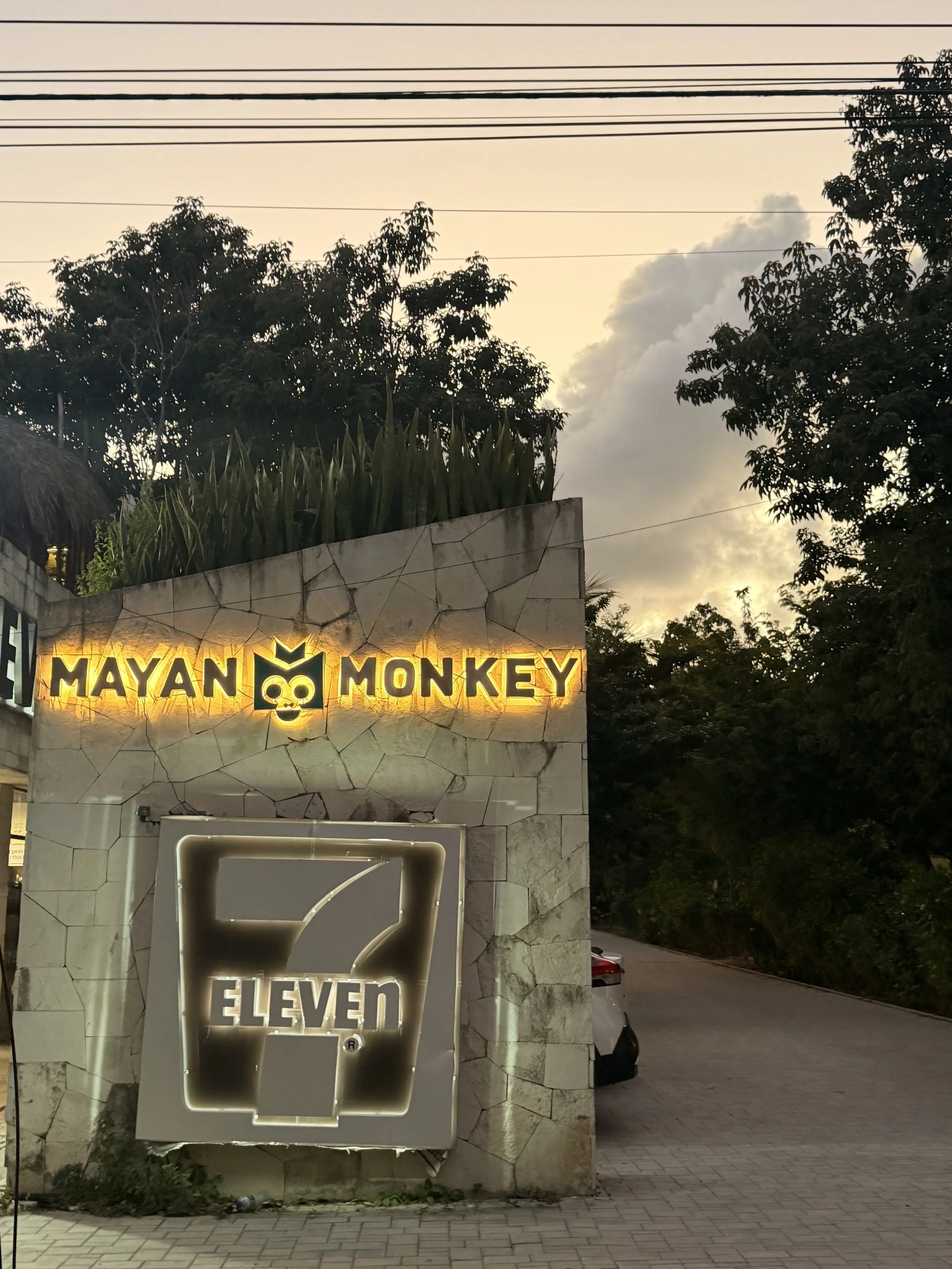 Mayamonkeylogo.jpg