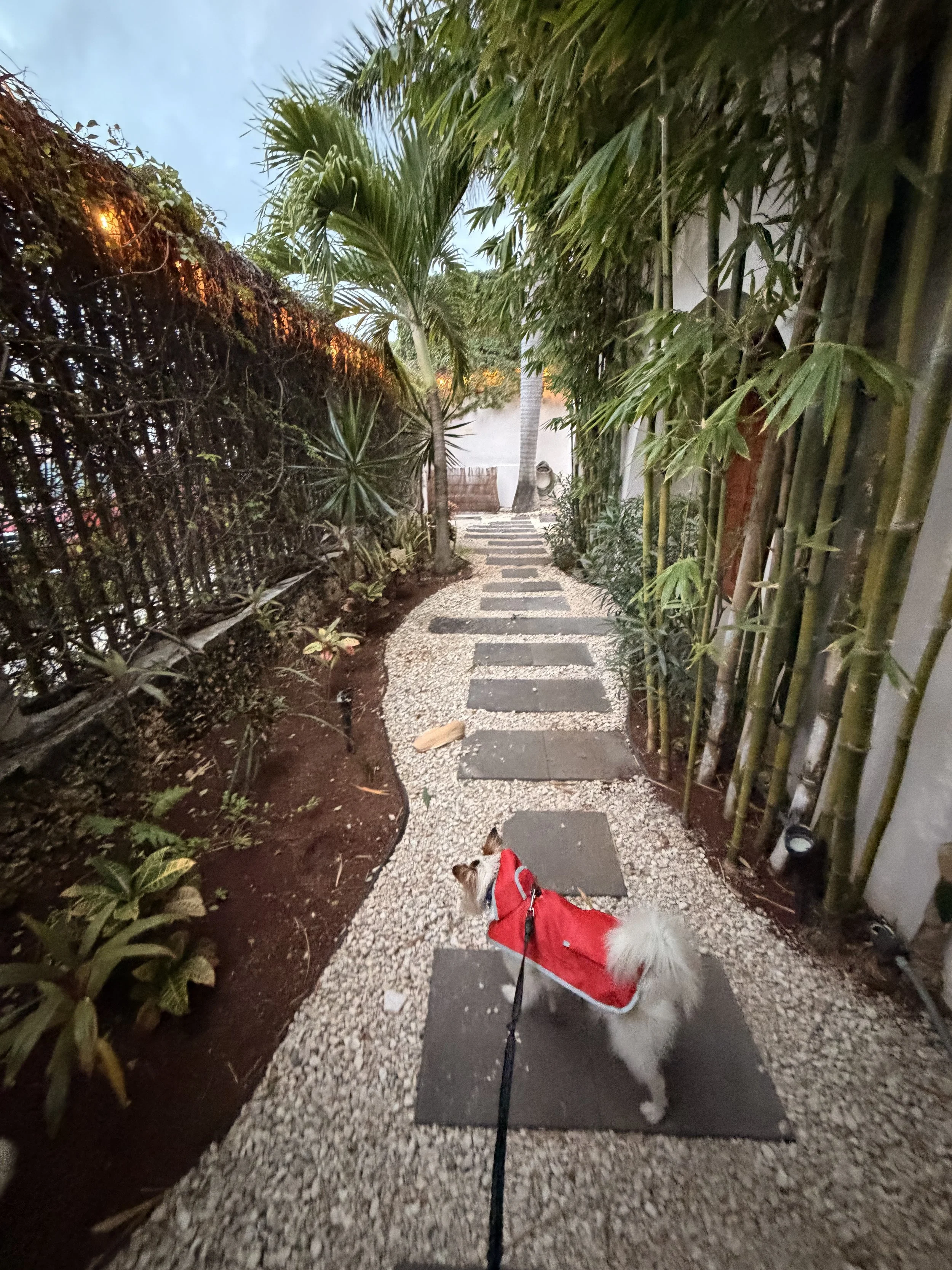 cancunhotel8.jpg