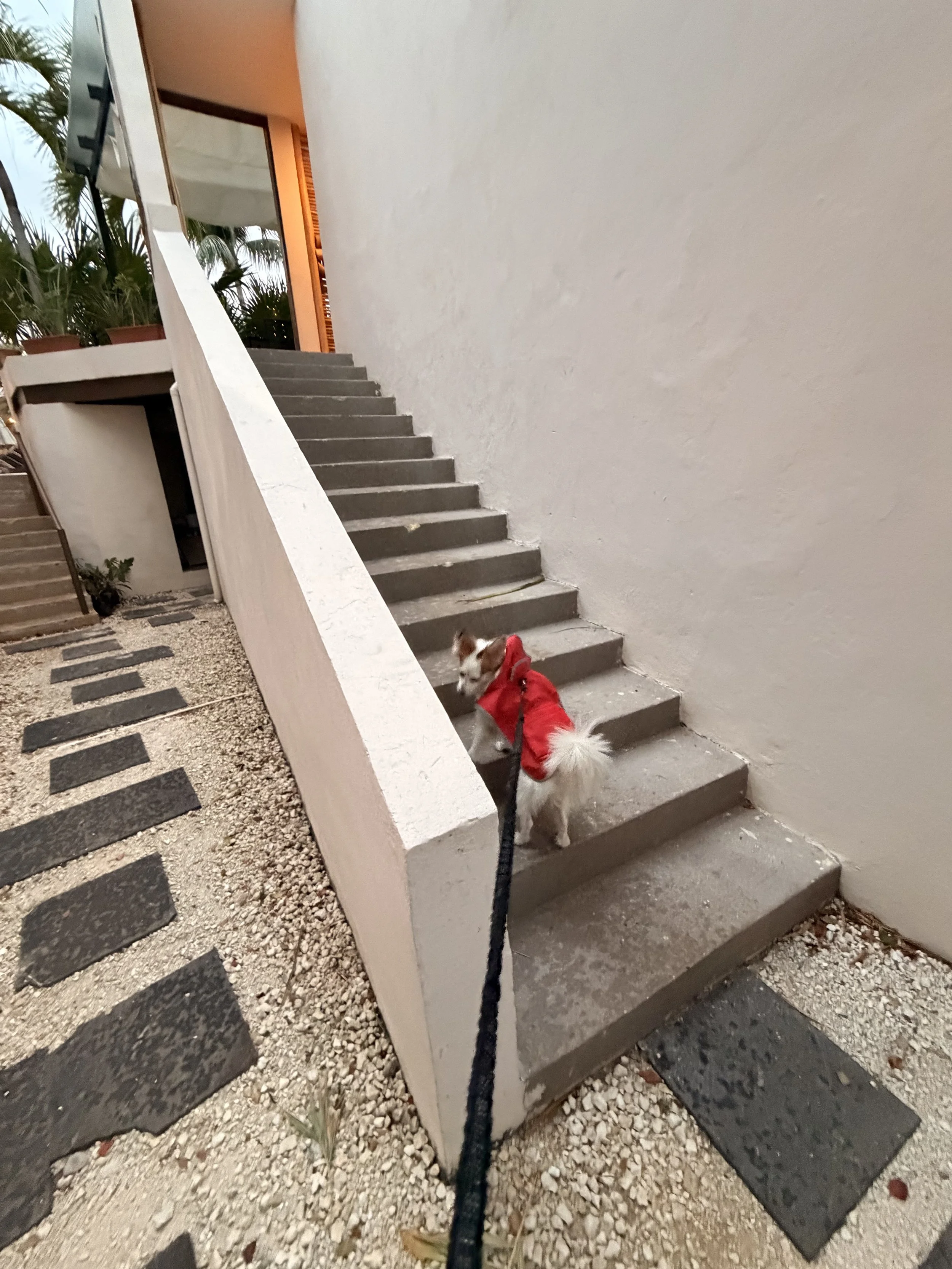 cancunhotel9.jpg