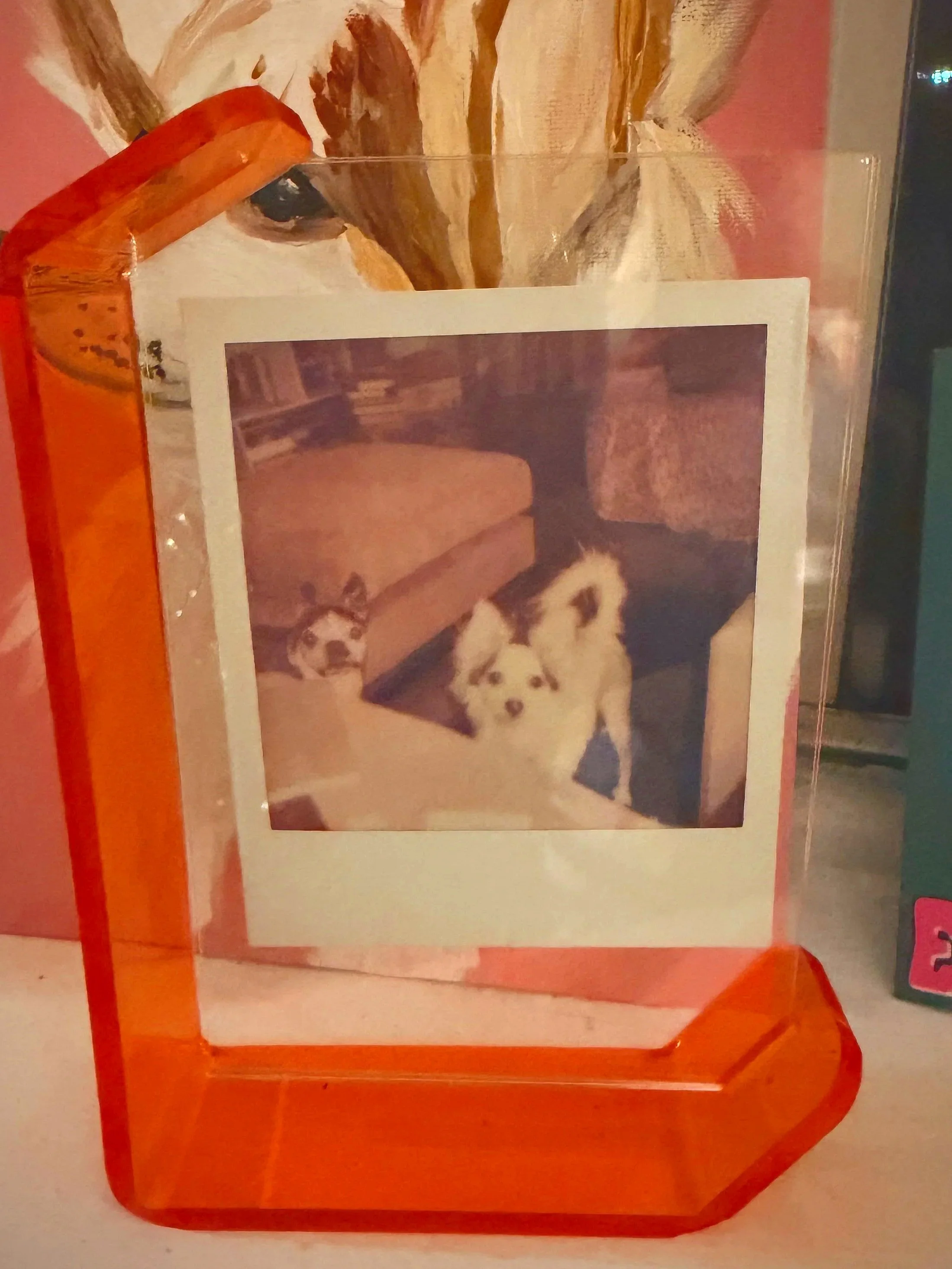 A framed Polaroid photo of three small dogs on a carpeted floor, with a couch and bookshelf in the background. The frame is orange and transparent.