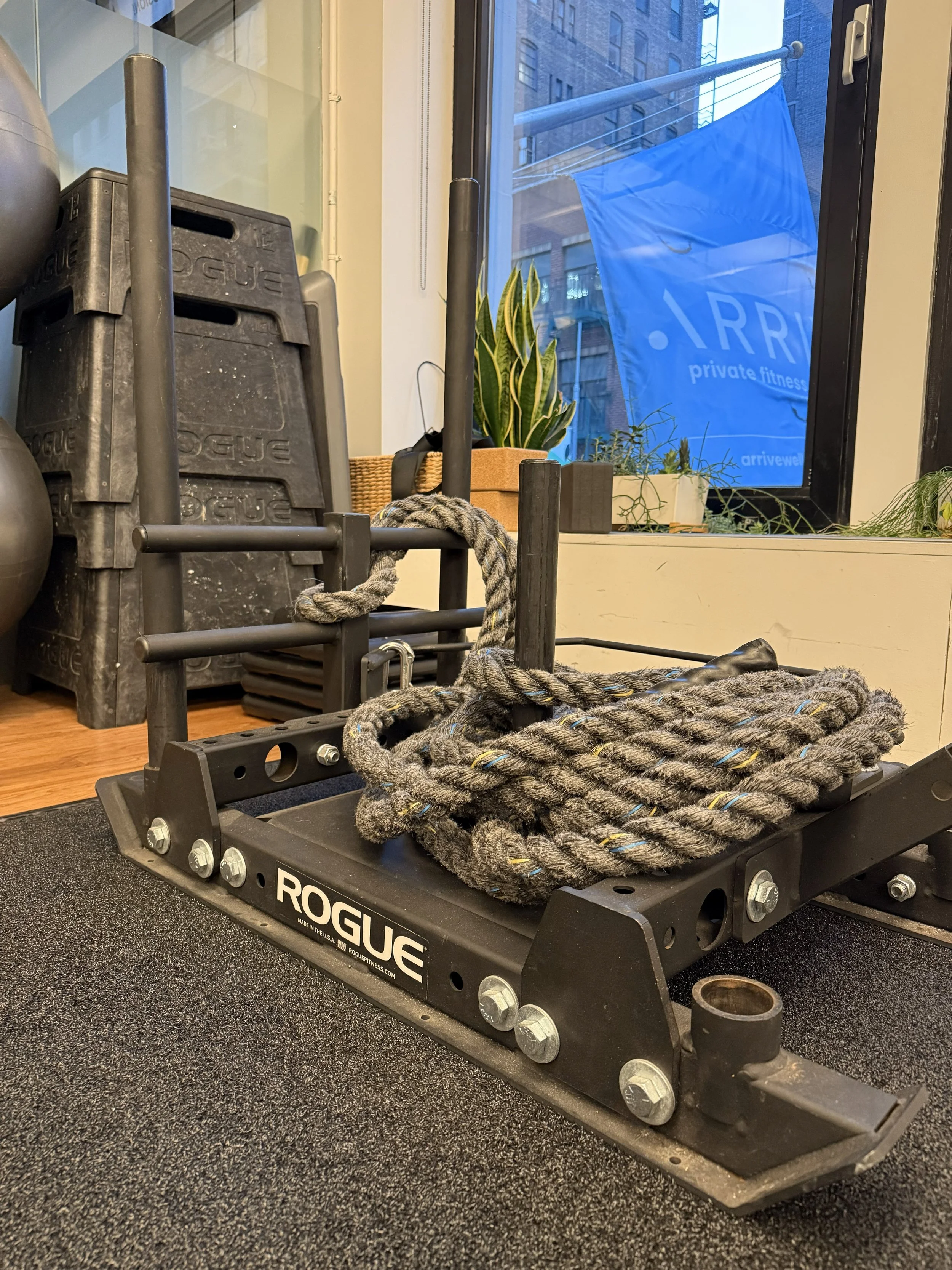 Strength & Conditioning