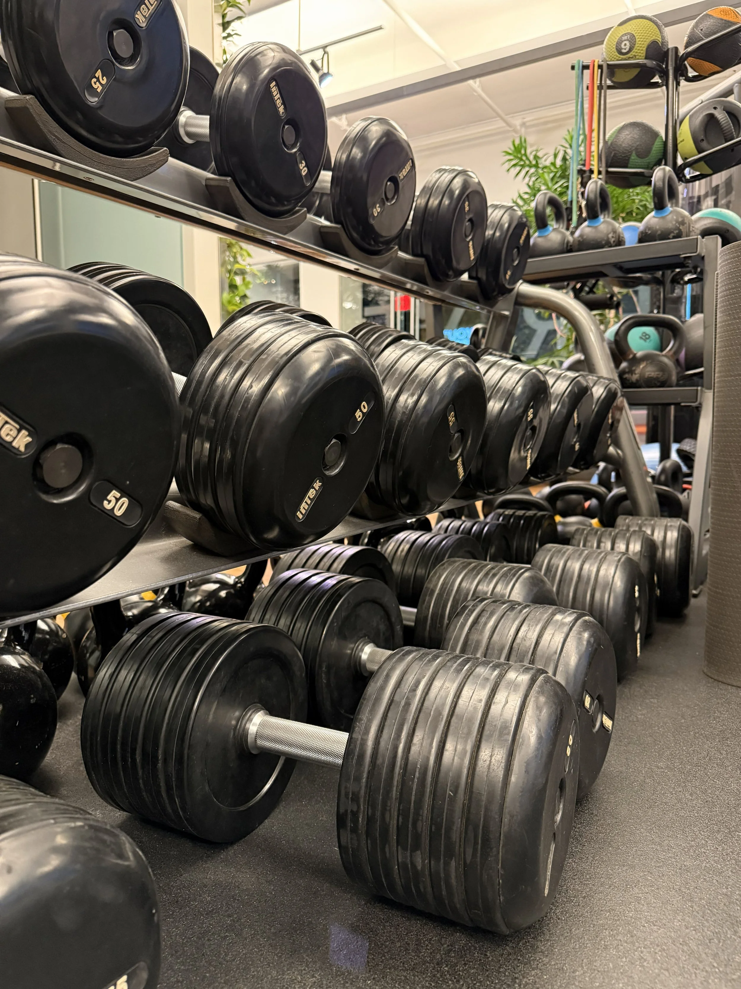 Remote Fitness Programming