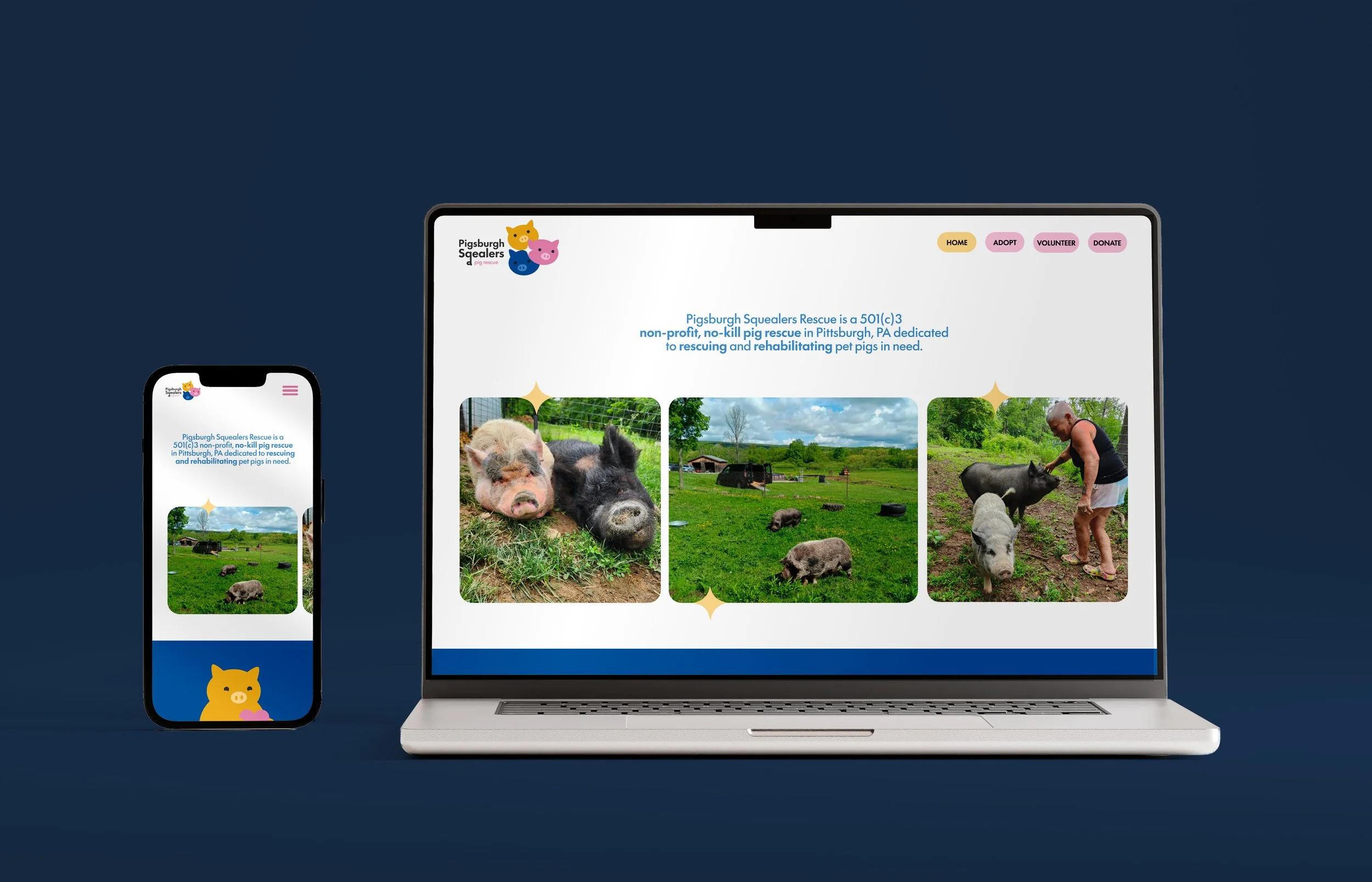 Pigsburgh Squealers Website Redesign