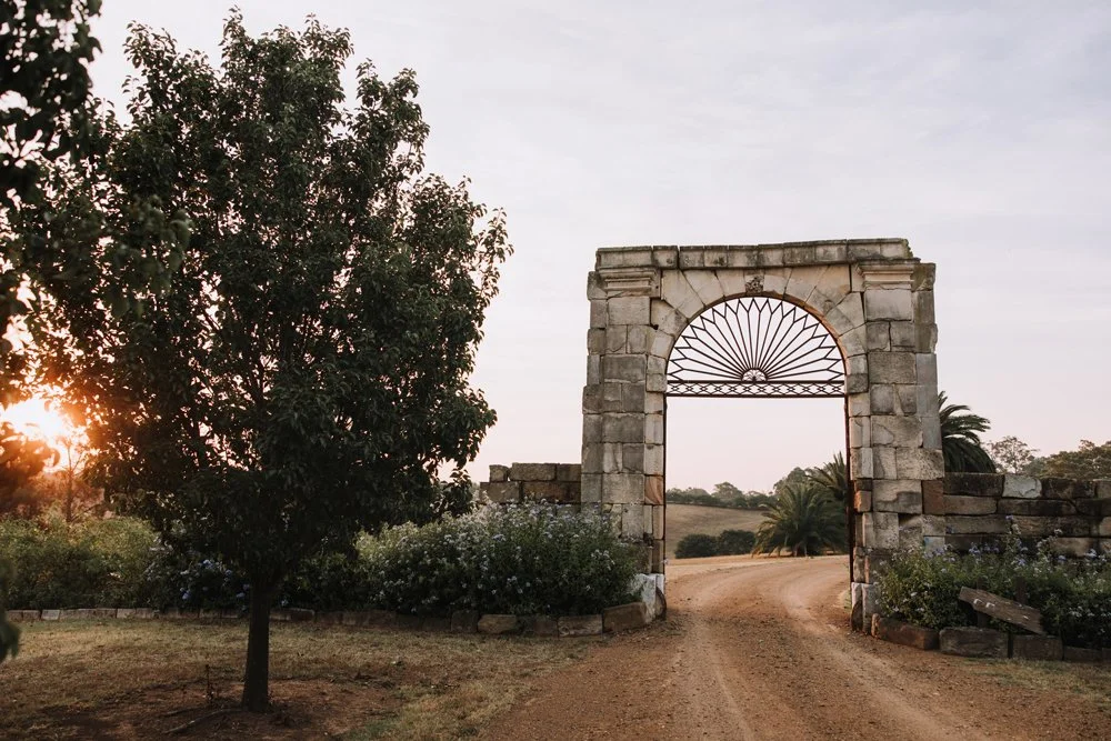 Stone archway with decorative ironwork at the top, flanked by a large leafy tree and flowering bushes, with a path leading through the arch and palm trees in the background during sunset.