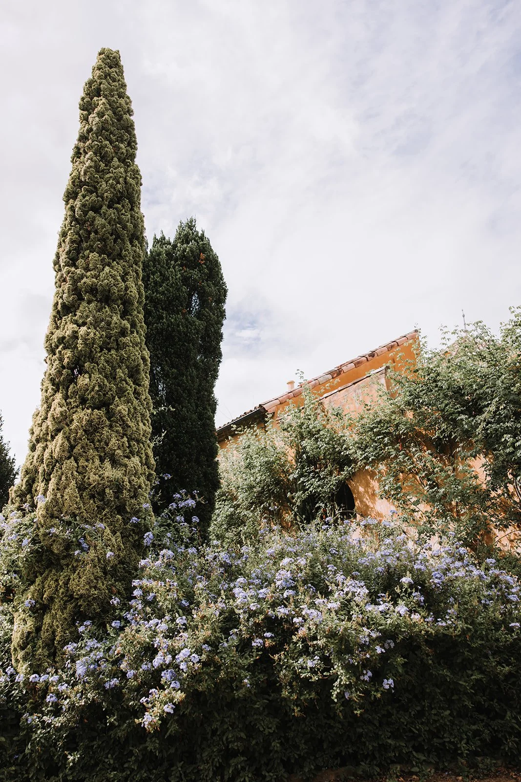 Tall cypress and other trees in front of a house with a tiled roof, surrounded by flowering bushes and plants, under a cloudy sky.