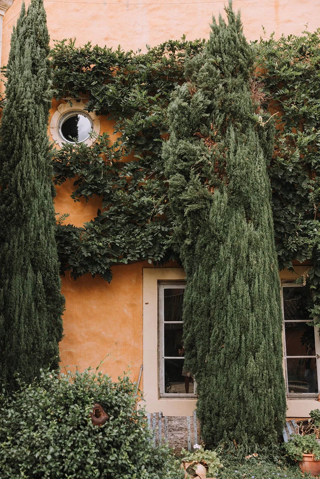 A house with orange walls, surrounded by tall green cypress trees and ivy growing on the wall, with a small round window near the top and two rectangular windows at the bottom.