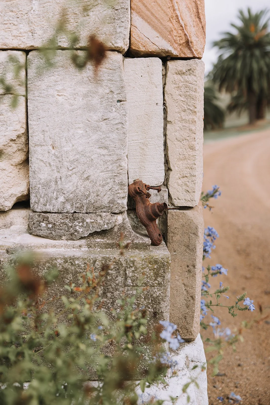 Close-up of a weathered, rusty water spigot attached to a stone wall in an outdoor setting, with blurred greenery and blue flowers in the background.