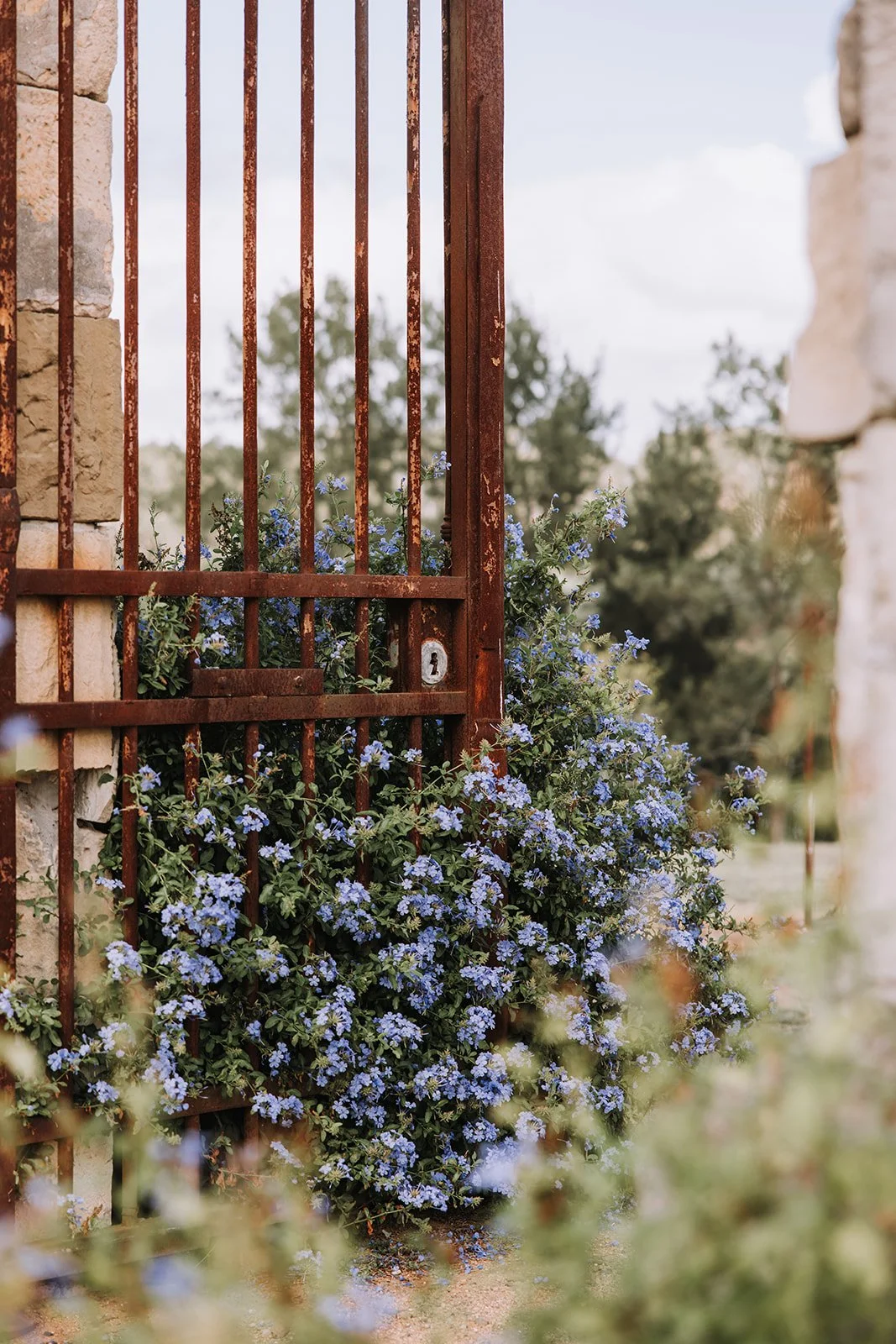 A rusty metal gate with a latch and a keyhole, set in a stone wall, with blue flowers growing beneath it and green trees in the background.