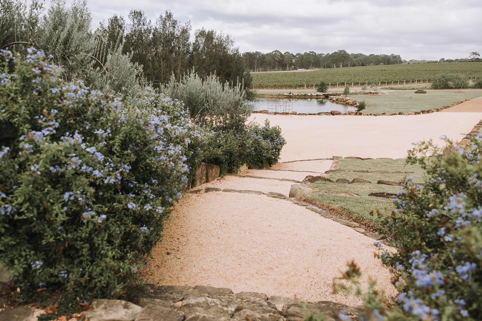 A landscaped garden with a cement pathway, purple flowering bushes, and a pond in the distance surrounded by grass and trees.