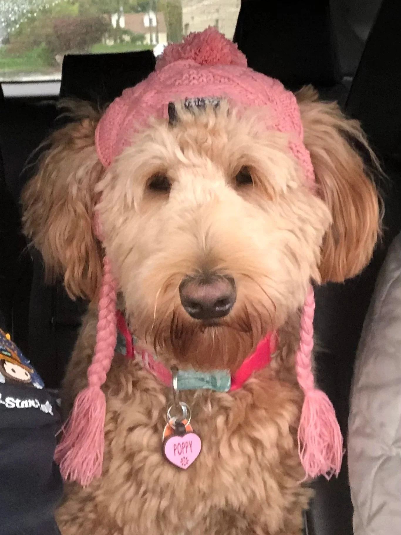 Poppy | Lake Geneva Art Studio mascot