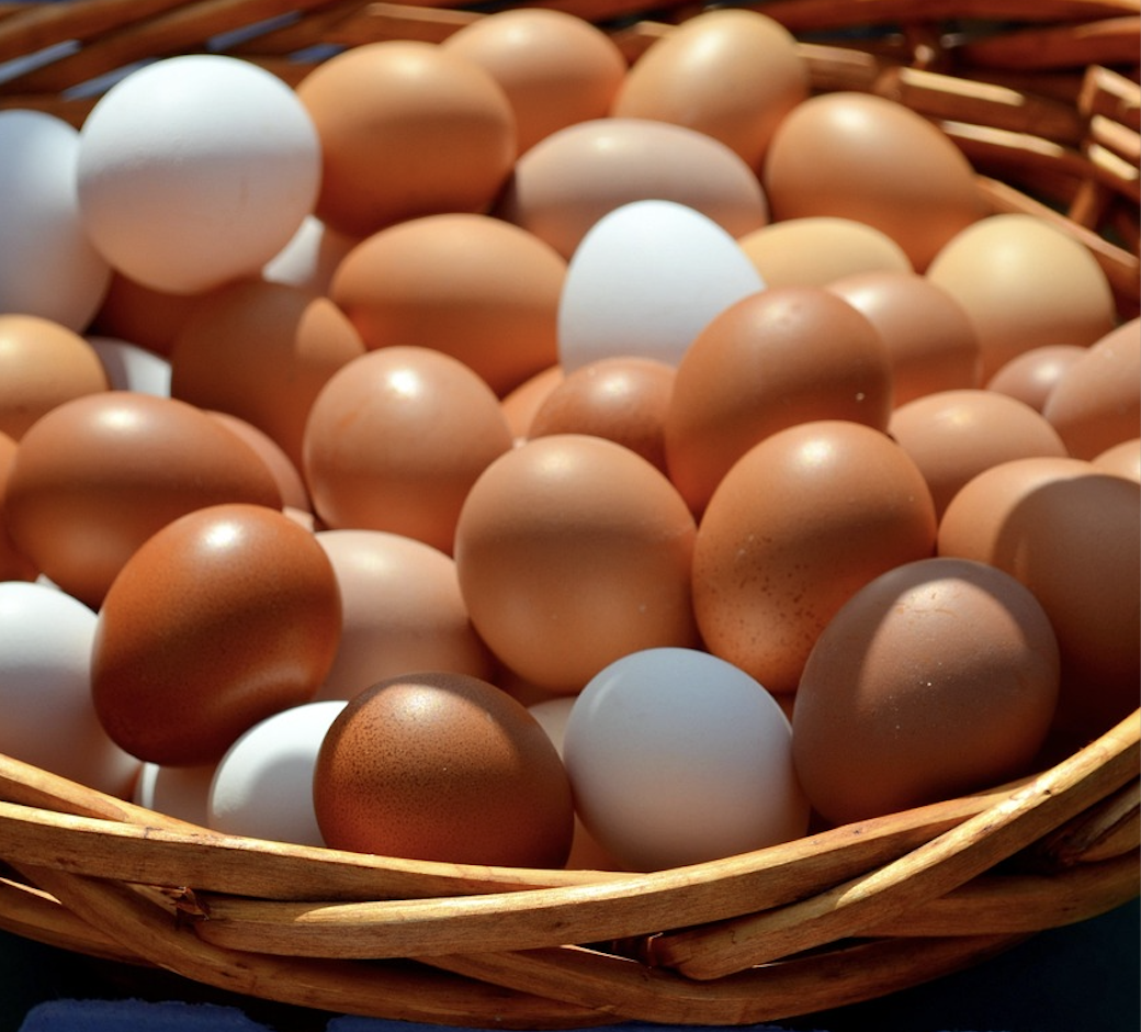 Cubeta grande huevos de campo