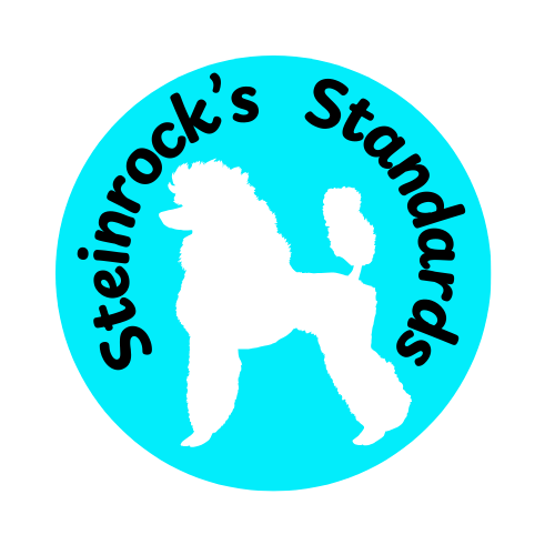 Steinrock's Standards