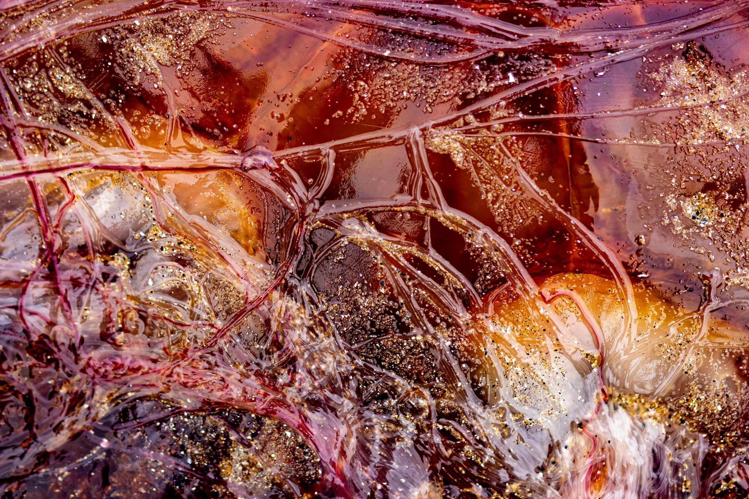 20220924-Final edit 3 - 1674.jpg