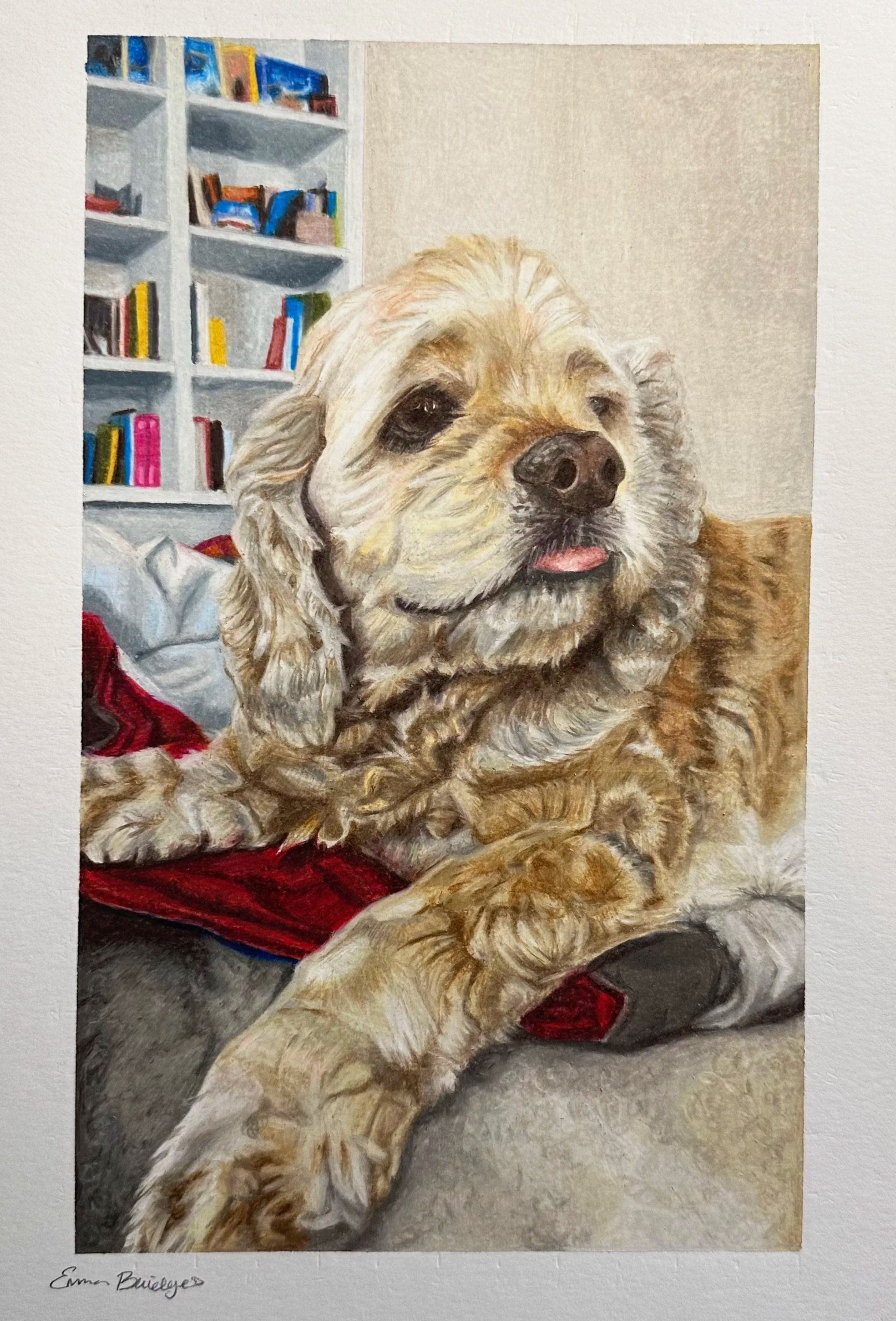 A realistic painting of a dog with light-colored, curly fur, lying on a surface with a red cloth. The background features a bookshelf filled with books and various items.