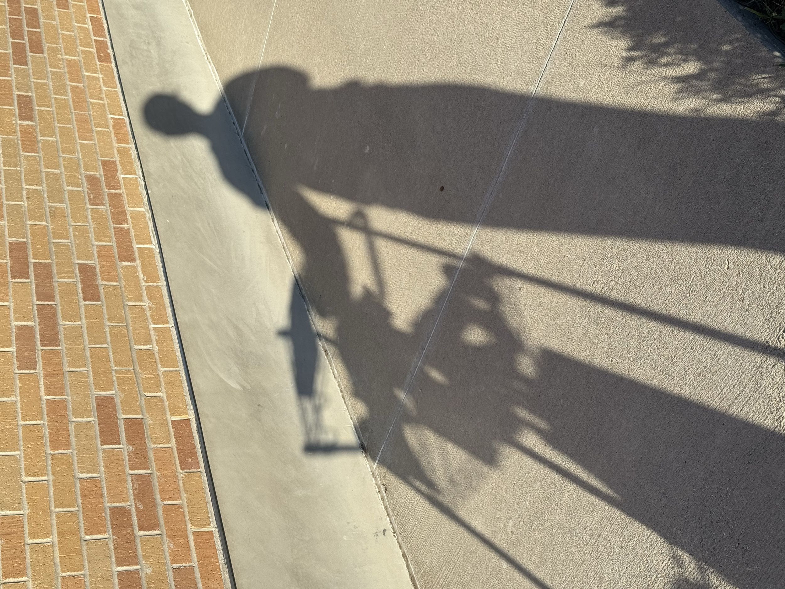 Shadow of a bicycle cast on a sidewalk near a brick wall and bushes on a sunny day.