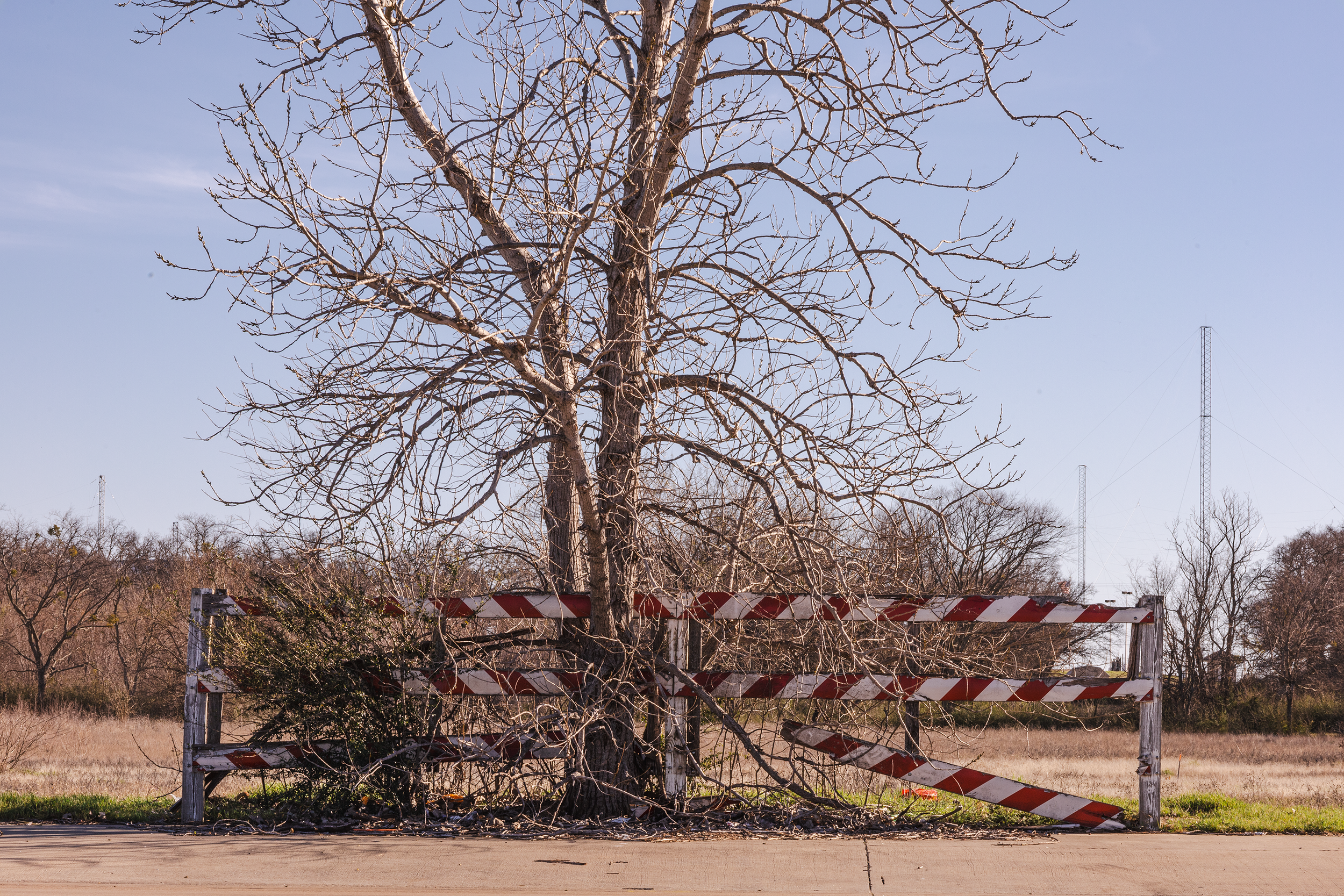 "Natural Barrier", 2024. Denton, TX.