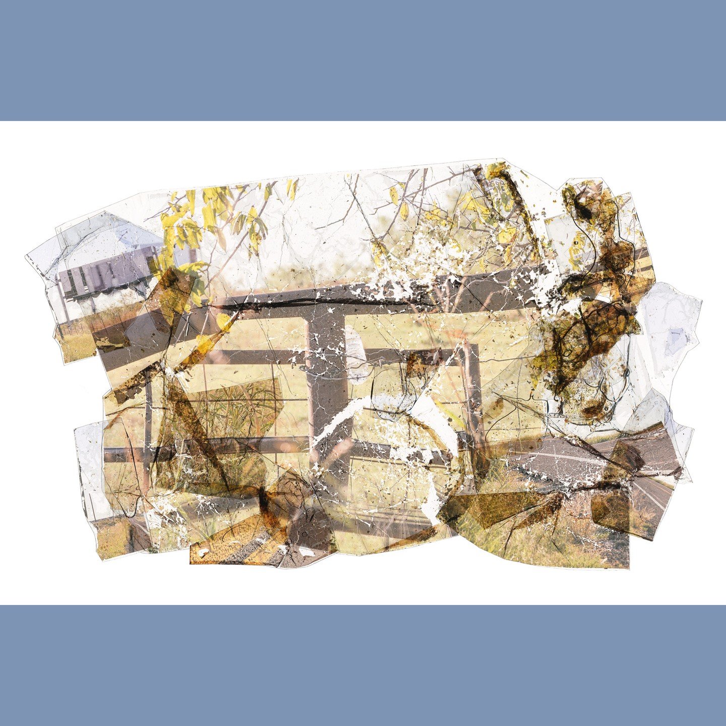 Drinking in the Roadside Sun
Spring 2025
Archival Inkjet Print
24&rdquo; x 36&rdquo;

#unt #untphotography #untcvad #texasphotography #mfagrad #photography #artphotography #alternativephotography #texasartist #dallasart #dallasartist #dentontx