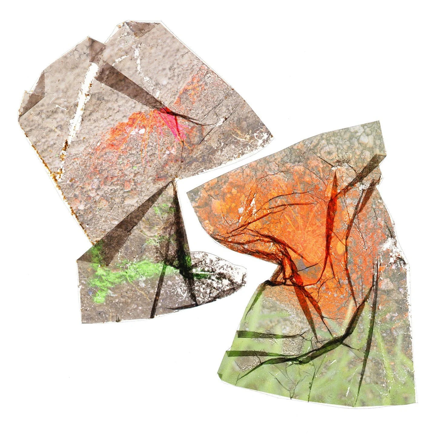 Converse Embrace, 2024
Fall 2024
Archival Inkjet Print
24&rdquo; x 24&rdquo;

#unt #untphotography #untcvad #texasphotography #mfagrad #photography #artphotography #alternativephotography #texasartist #dallasart #dallasartist #dentontx