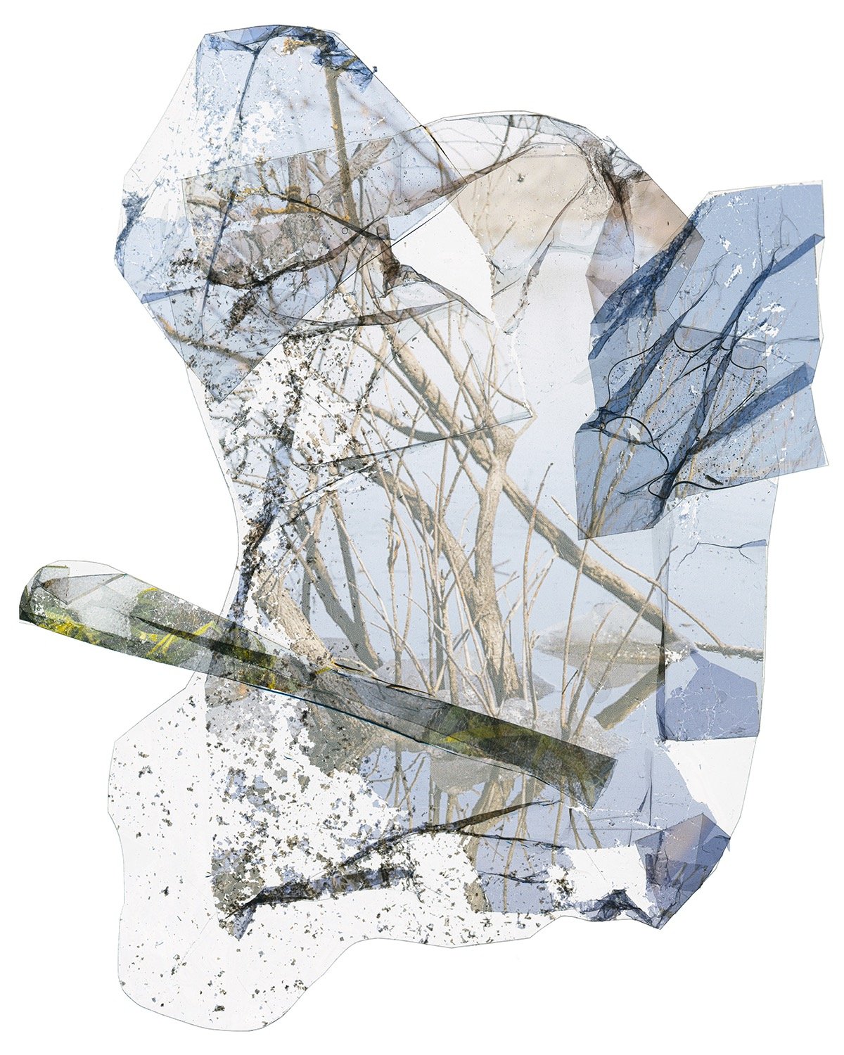 Apricity
Spring 2025
Archival Inkjet Print
16&rdquo; x 20&rdquo;

#unt #untphotography #untcvad #texasphotography #mfagrad #photography #artphotography #alternativephotography #texasartist #dallasart #dallasartist #dentontx