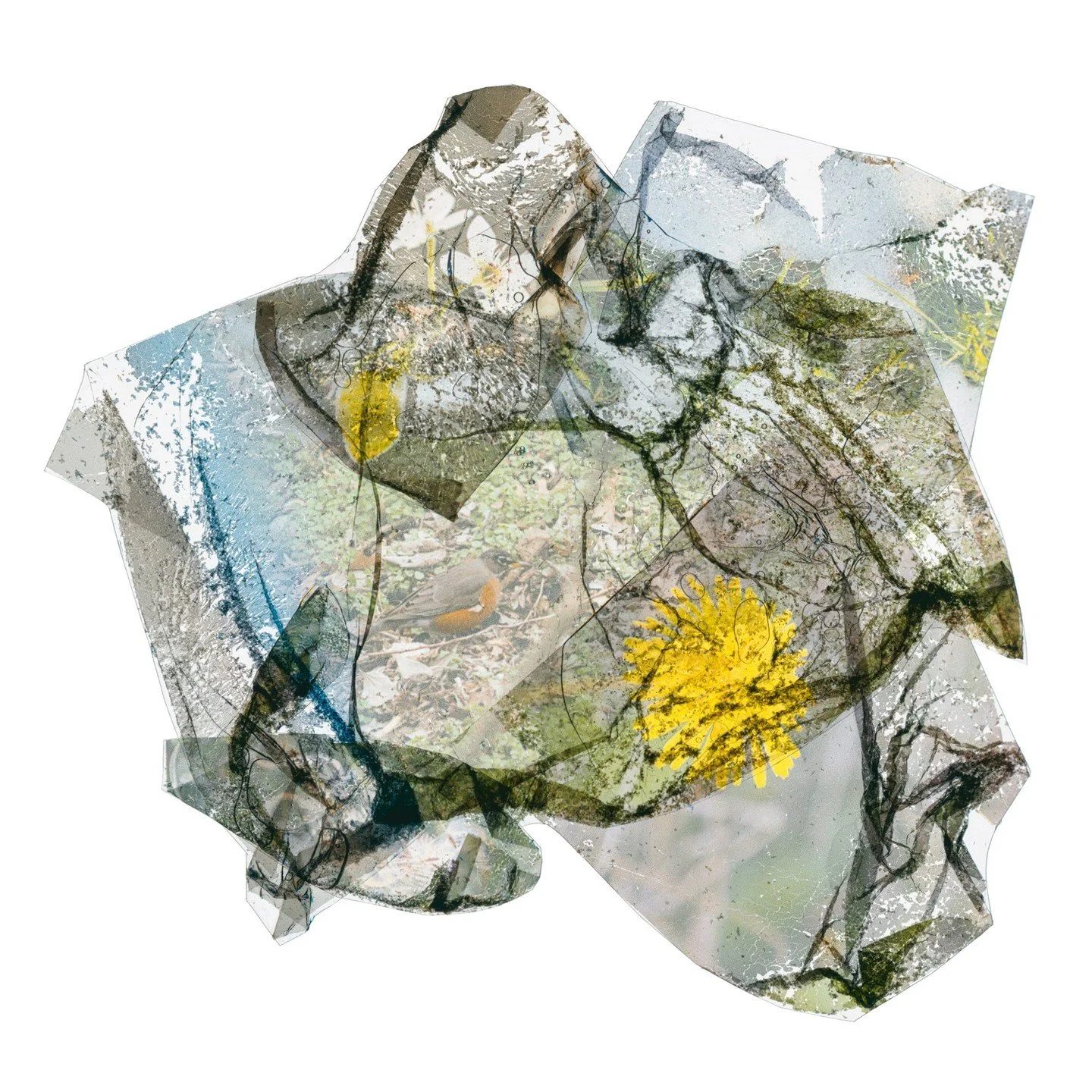 A New Breath (Hope Again)
Spring 2025
Archival Inkjet Print
24" x 24"

A New Breath (Hope Again) commemorates the melting of snow, the first flowers, and symbols of winter transforming into spring - standing as a personal meditation on seas