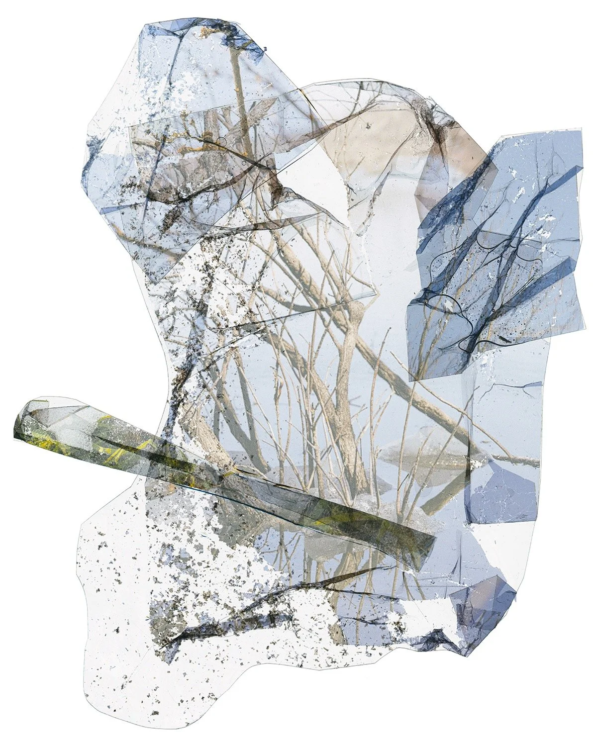 Apricity
Spring 2025
Archival Inkjet Print
16&rdquo; x 20&rdquo;

#unt #untphotography #untcvad #texasphotography #mfagrad #photography #artphotography #alternativephotography #texasartist #dallasart #dallasartist #dentontx