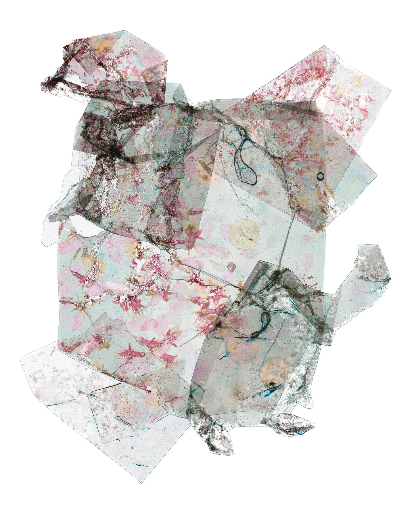 Bygone Blooms and Faded Wishes
Spring 2025
Archival Inkjet Print
24" x 30"

Bygone Blooms and Faded Wishes encourages introspection on the nature of desire. It's a simple magic - wishing on a coin - but one that is commonplace. How many wis