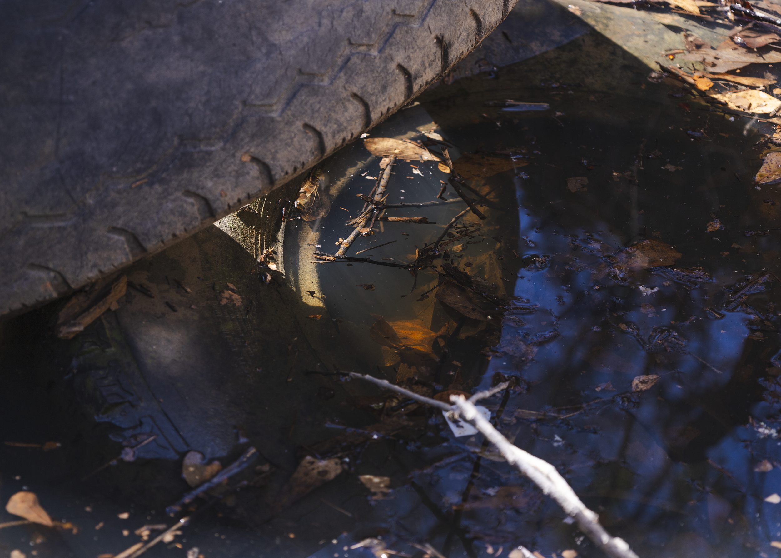 "Long Worn Smooth, Now I Rest", 2025. Fruitvale, TX. 