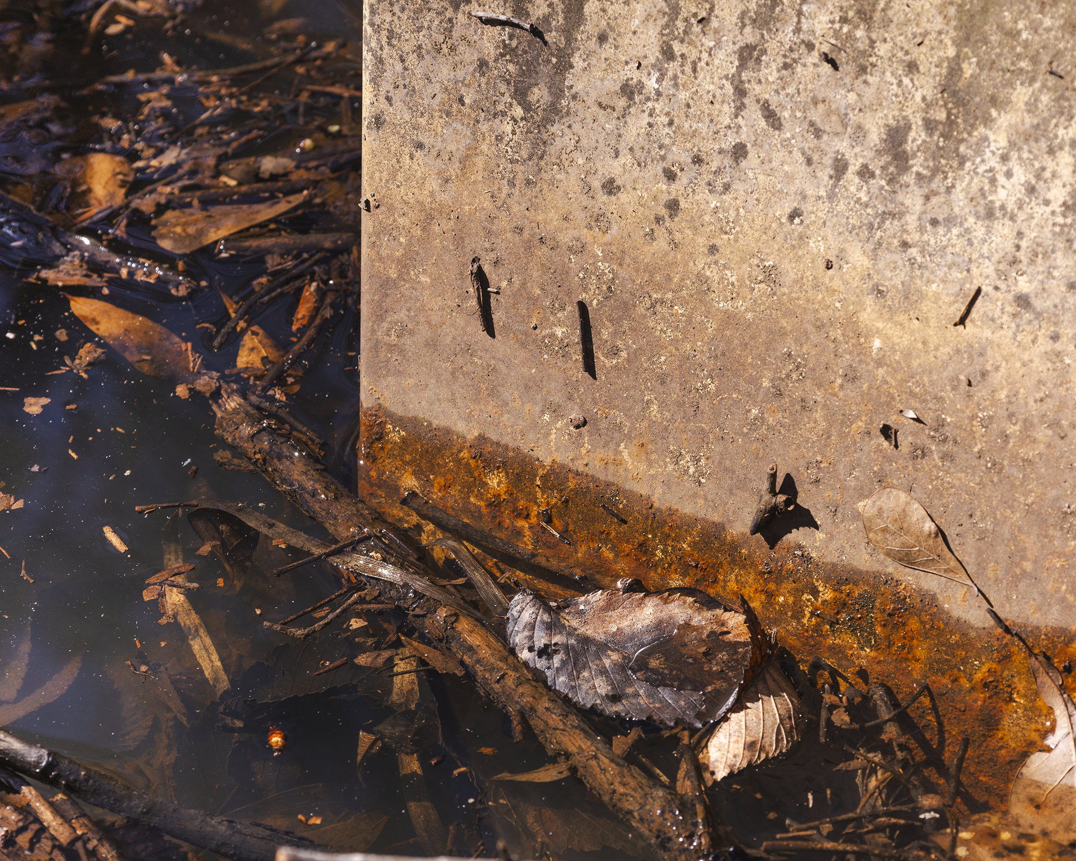 Untitled, 2025. Fruitvale, TX. 