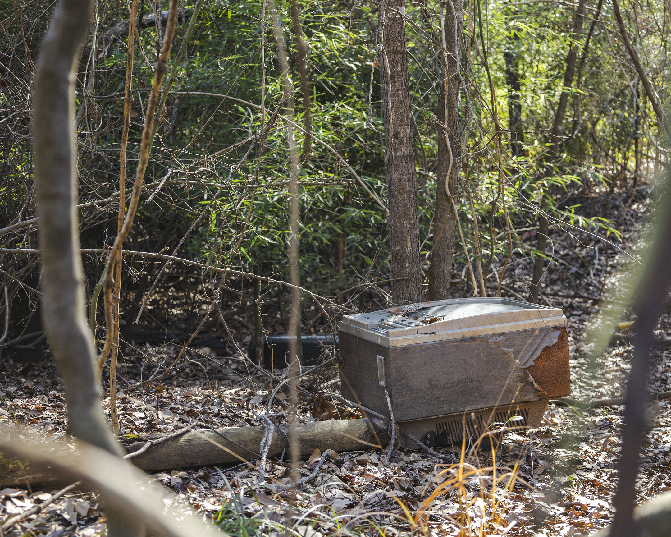 "Skyward Screen", 2025. Fruitvale, TX.