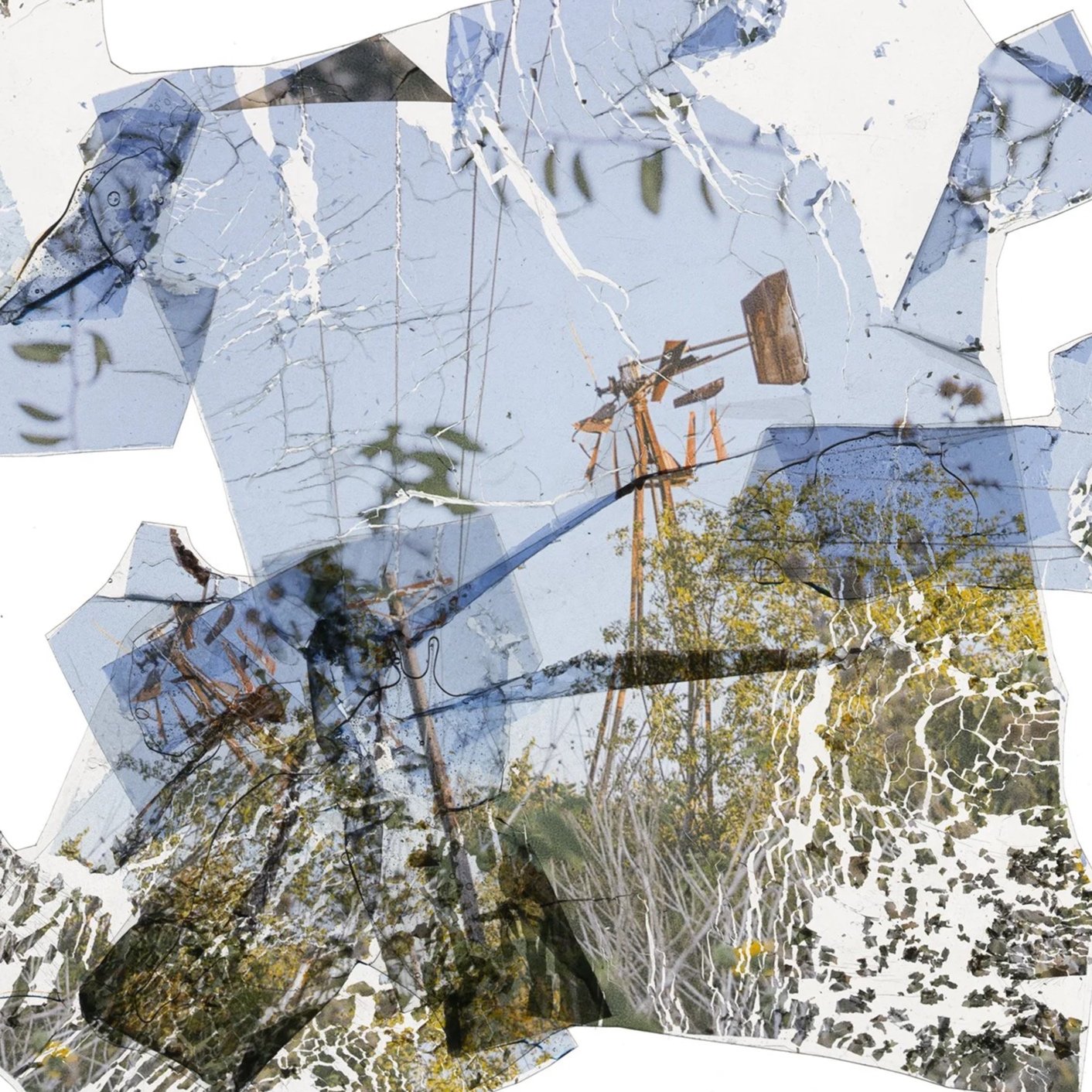 Windbeaten (What Have You Weathered?)