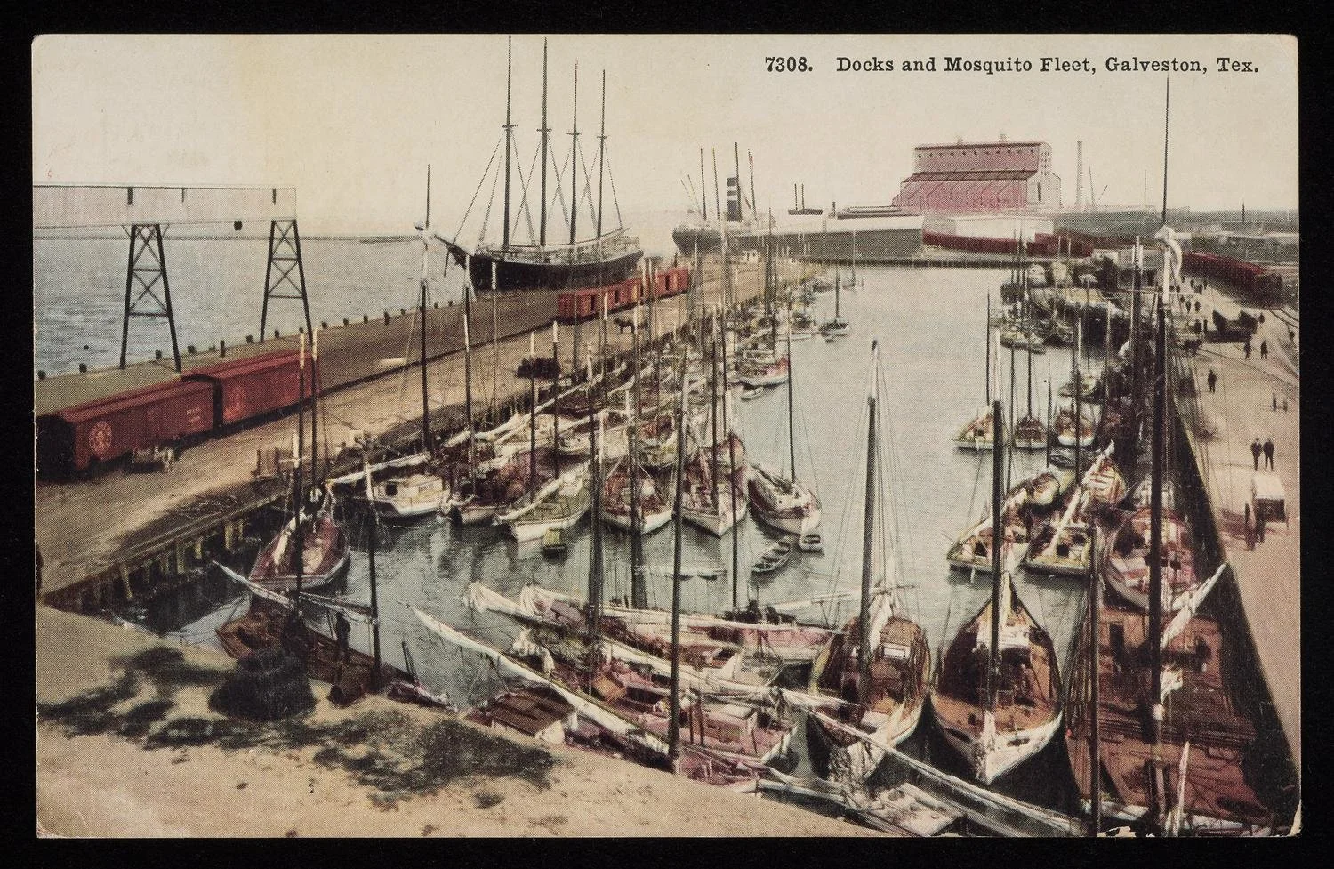 Rescuing Texas History 2024 - Private Collection of T.B. Willis