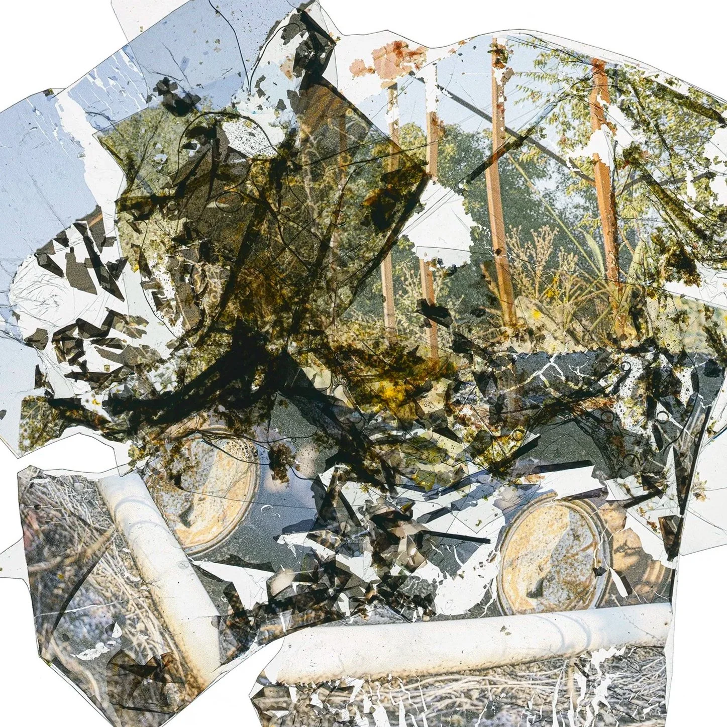 Burn Ban, Burned Cans