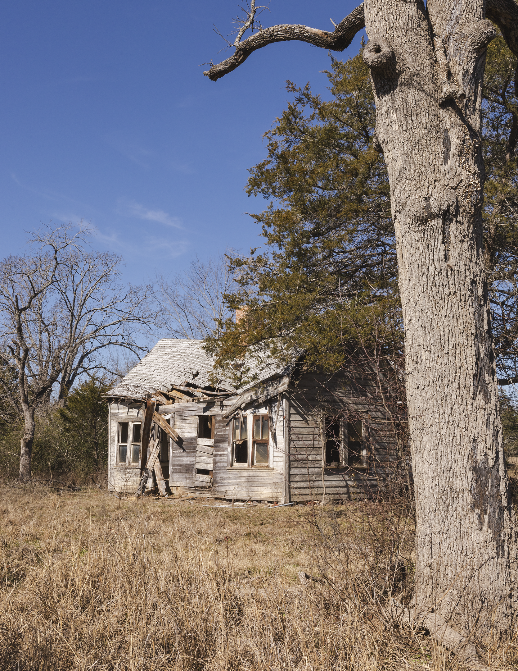 "Home Again", 2025. Fruitvale, TX. 