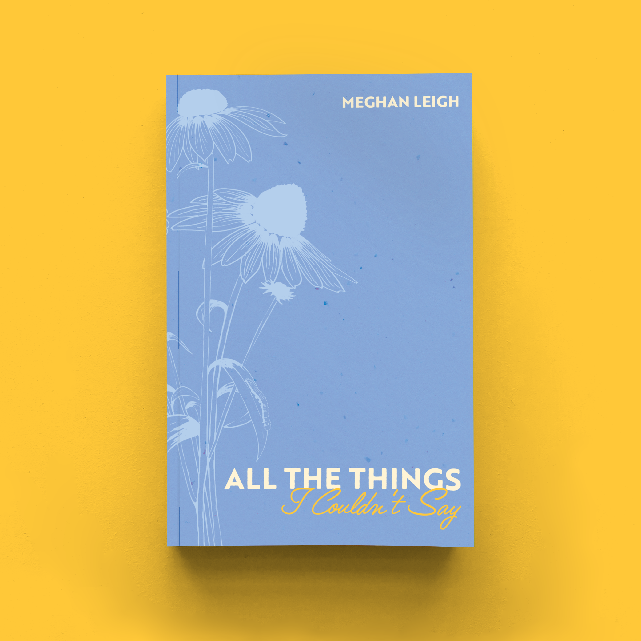 All the Things I Couldn’t Say - Release Day