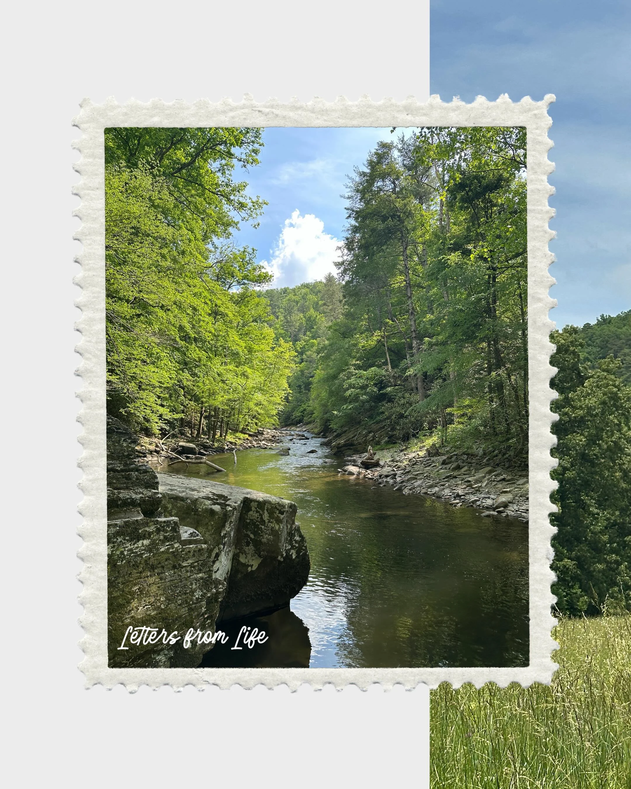 Letters from Life - from the road 

When I was a kid summers were marked by lots of road trips across the state to visit family and friends. We filled the miles with audiobooks and I daydreamed looking out the windows of our forest green &lsquo;94 Ex