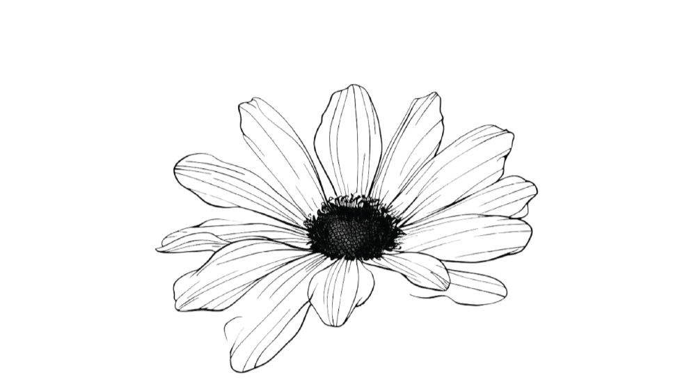 Black and white line drawing of a flower with multiple petals and a dark center.