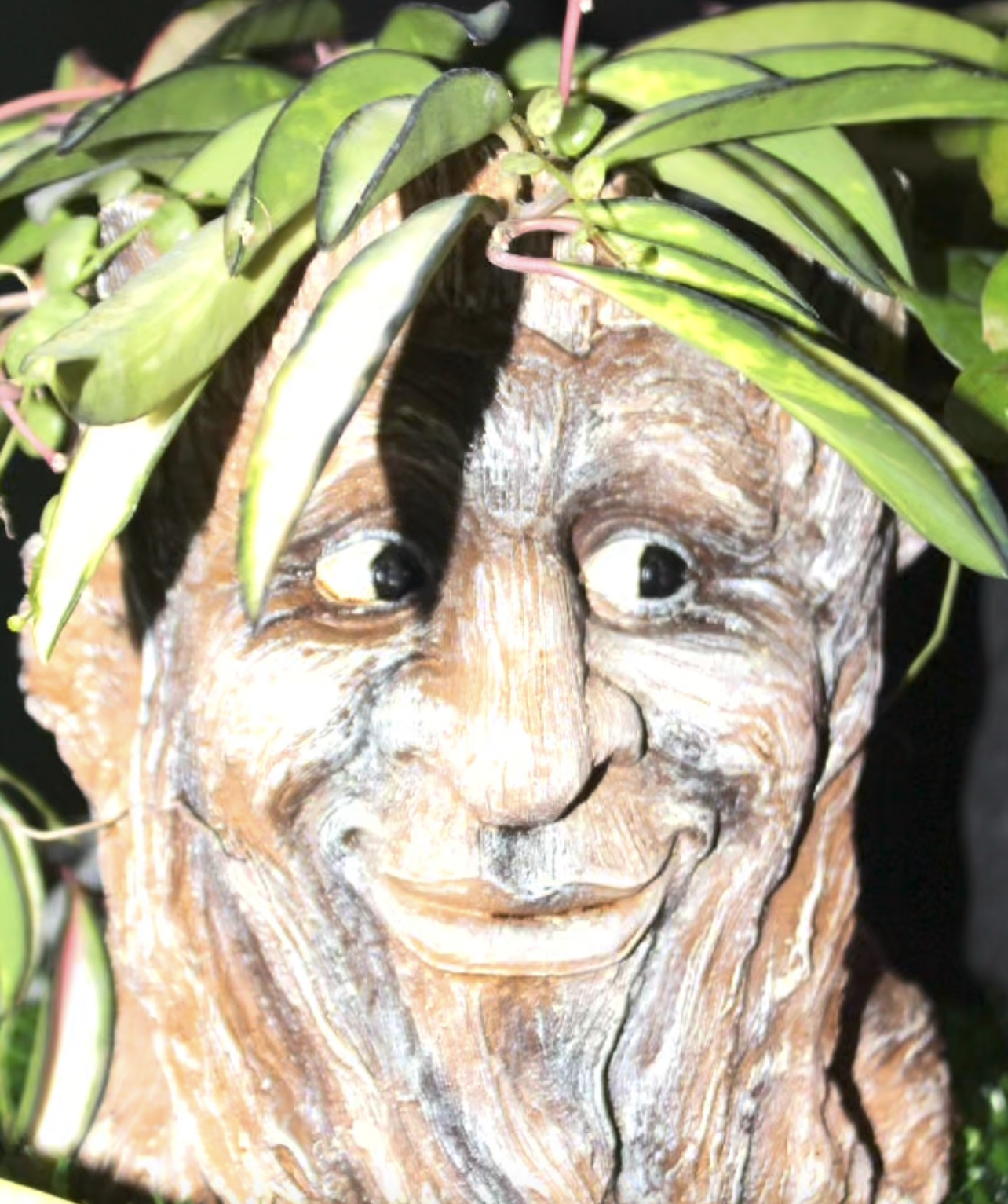 greenandgroundimage1.png