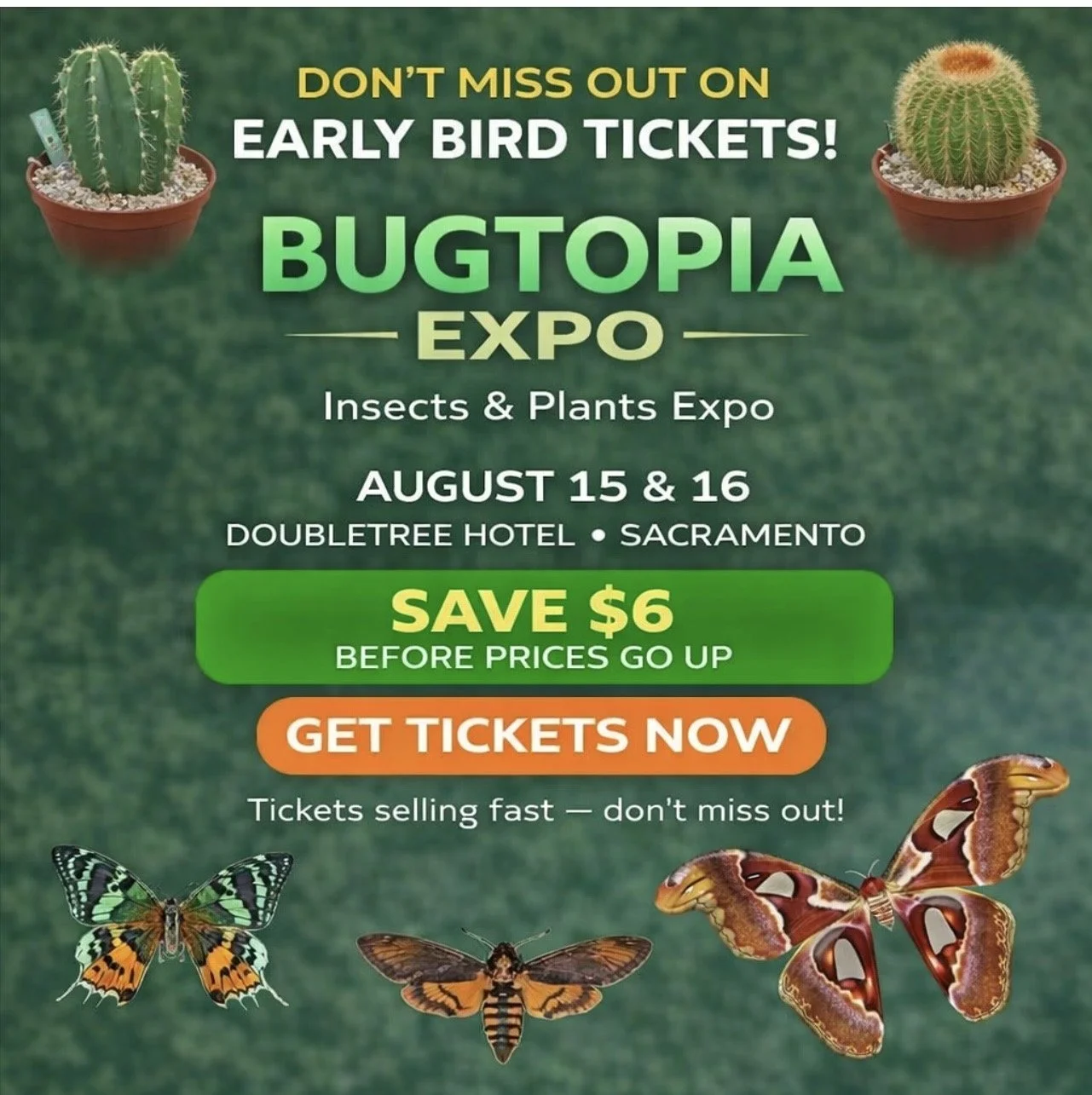 Bugtopia
