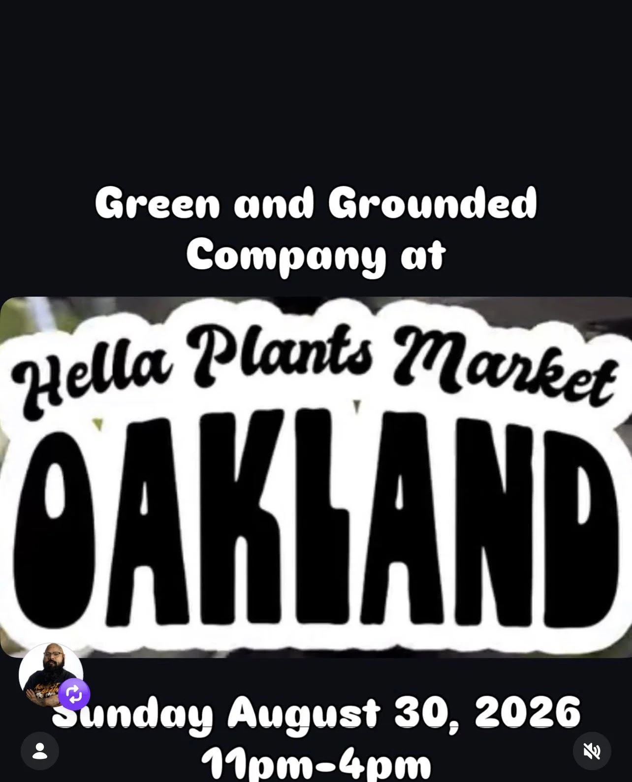 Hella Plants Market
