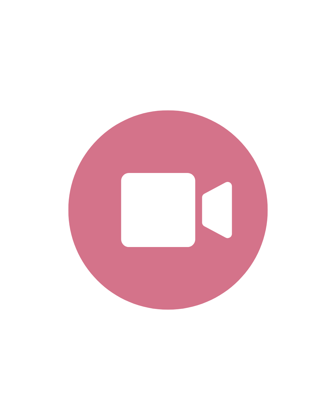 Video call to discuss goals for business