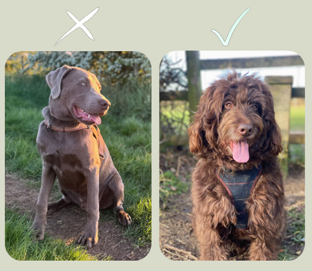 Free How To Guide picture.png