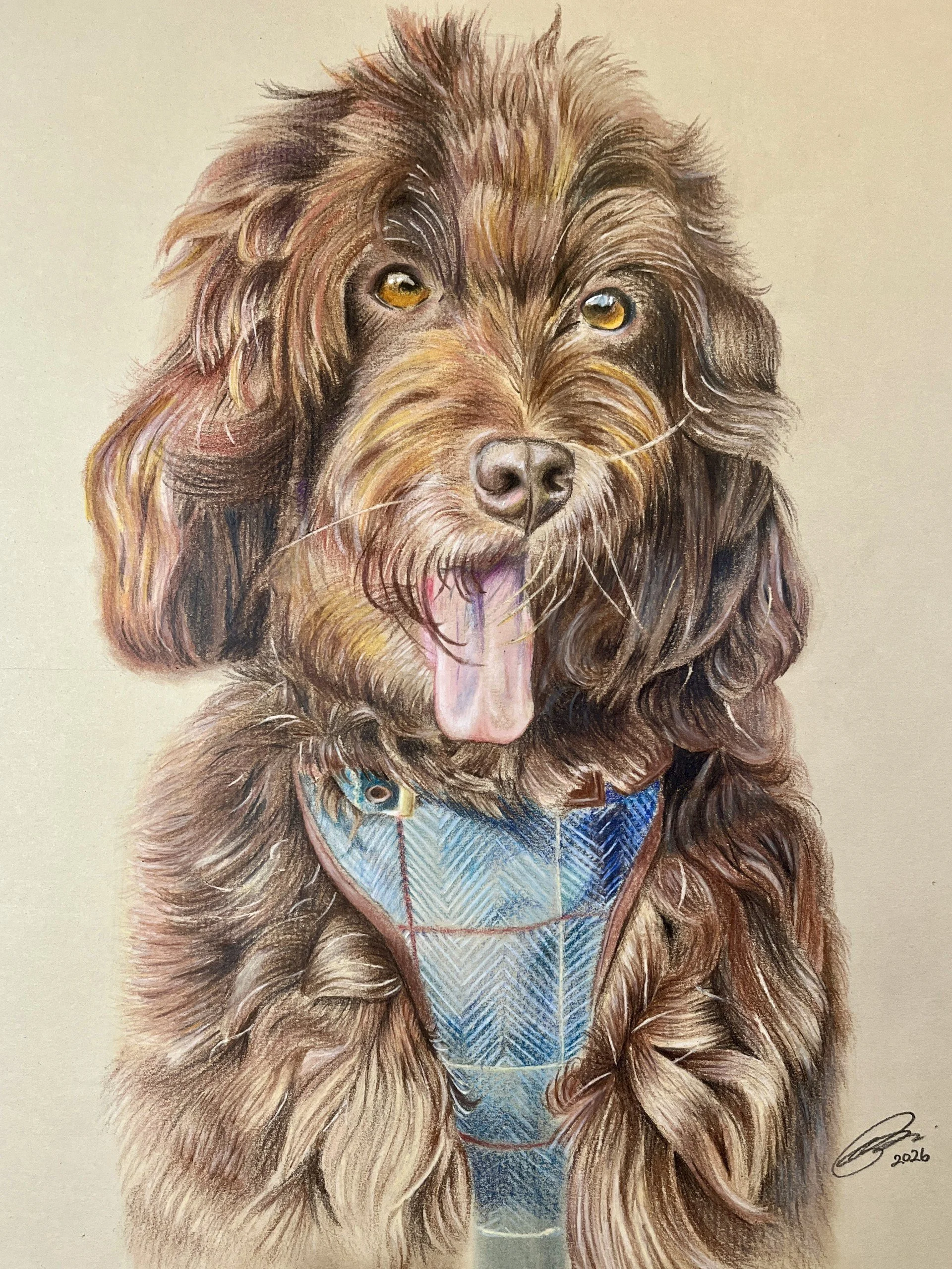 Tod, 11'' x 14'' Soft Pastel & Oil Based Coloured Pencil
