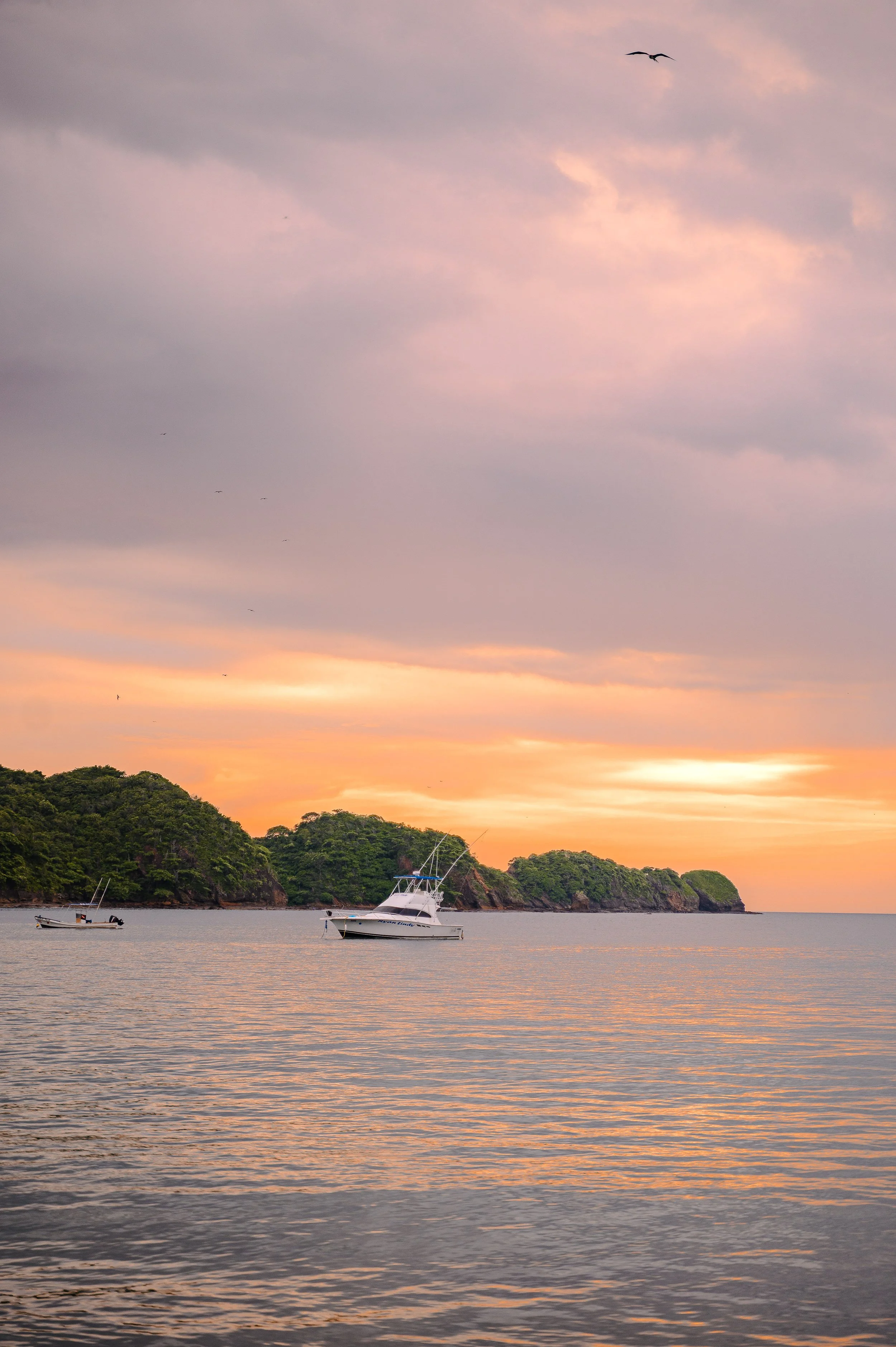 Sanoktastic Photograohy Pocono MTNS & The Catkills-25.jpg