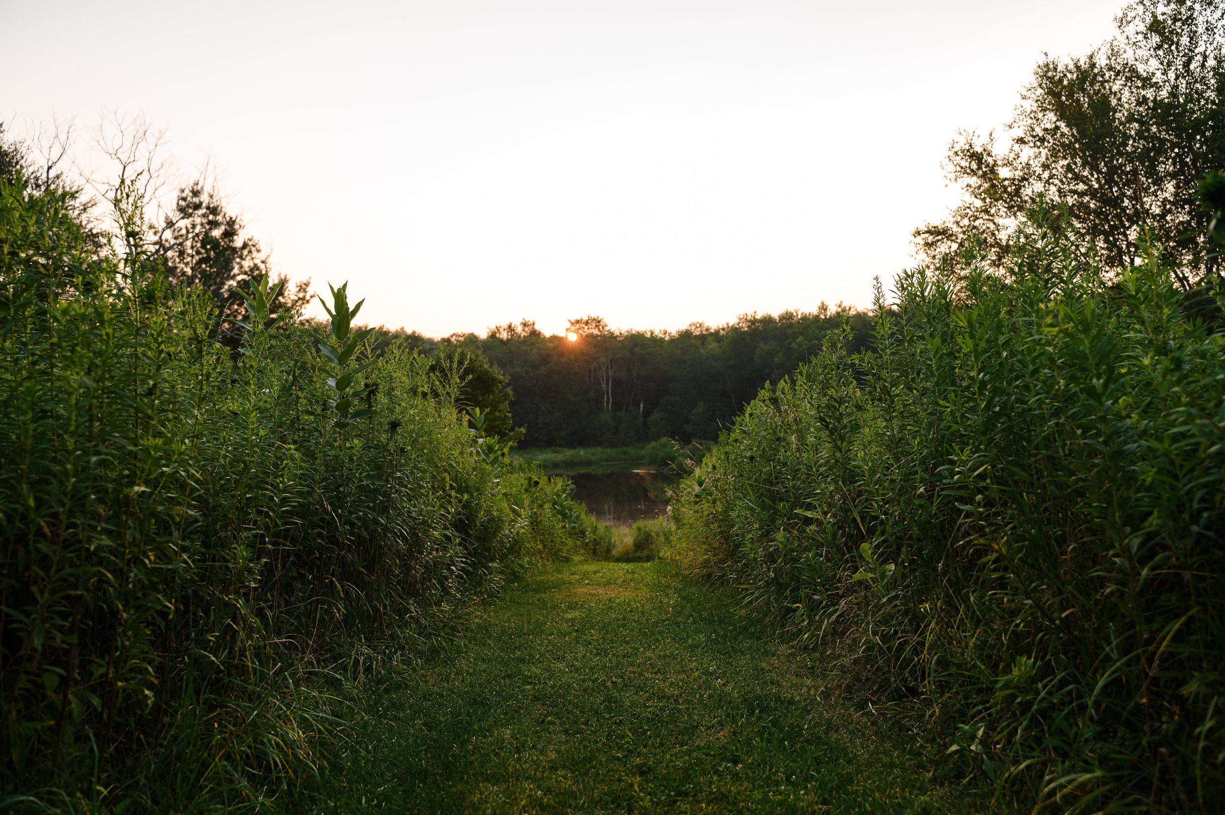 Sanoktastic Photograohy Pocono MTNS & The Catkills-21.jpg