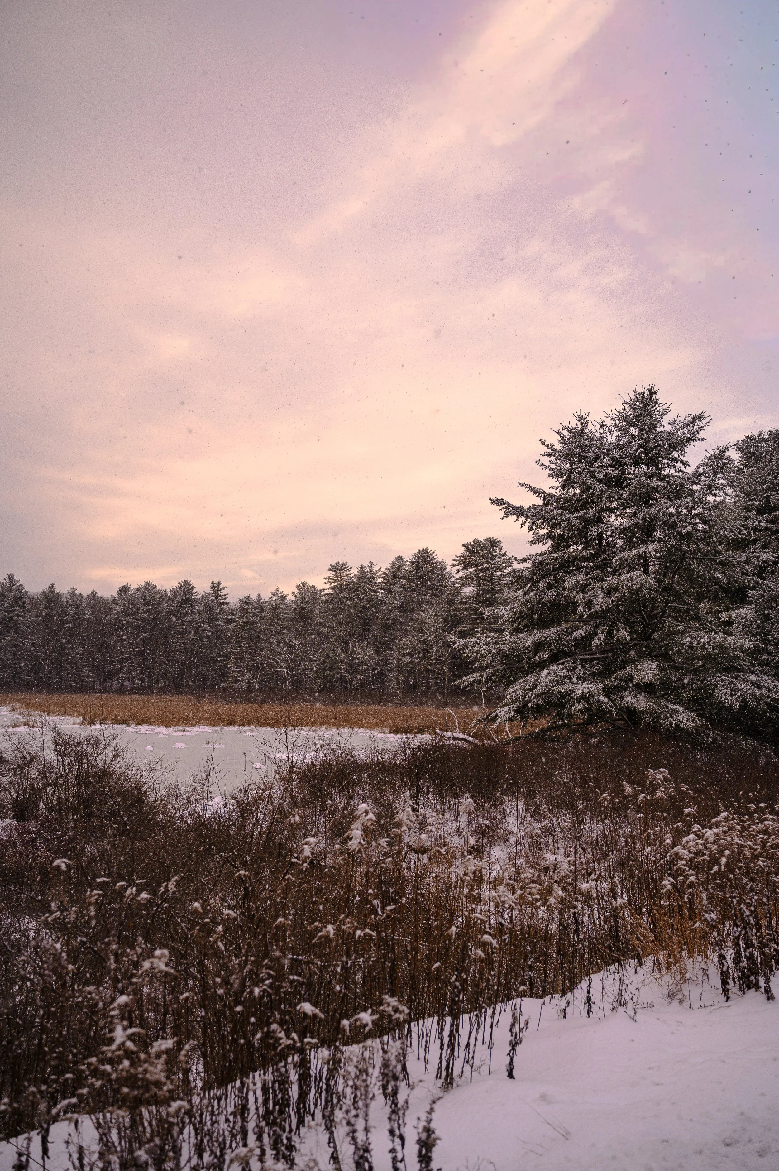 Sanoktastic Photograohy Pocono MTNS & The Catkills-10.jpg