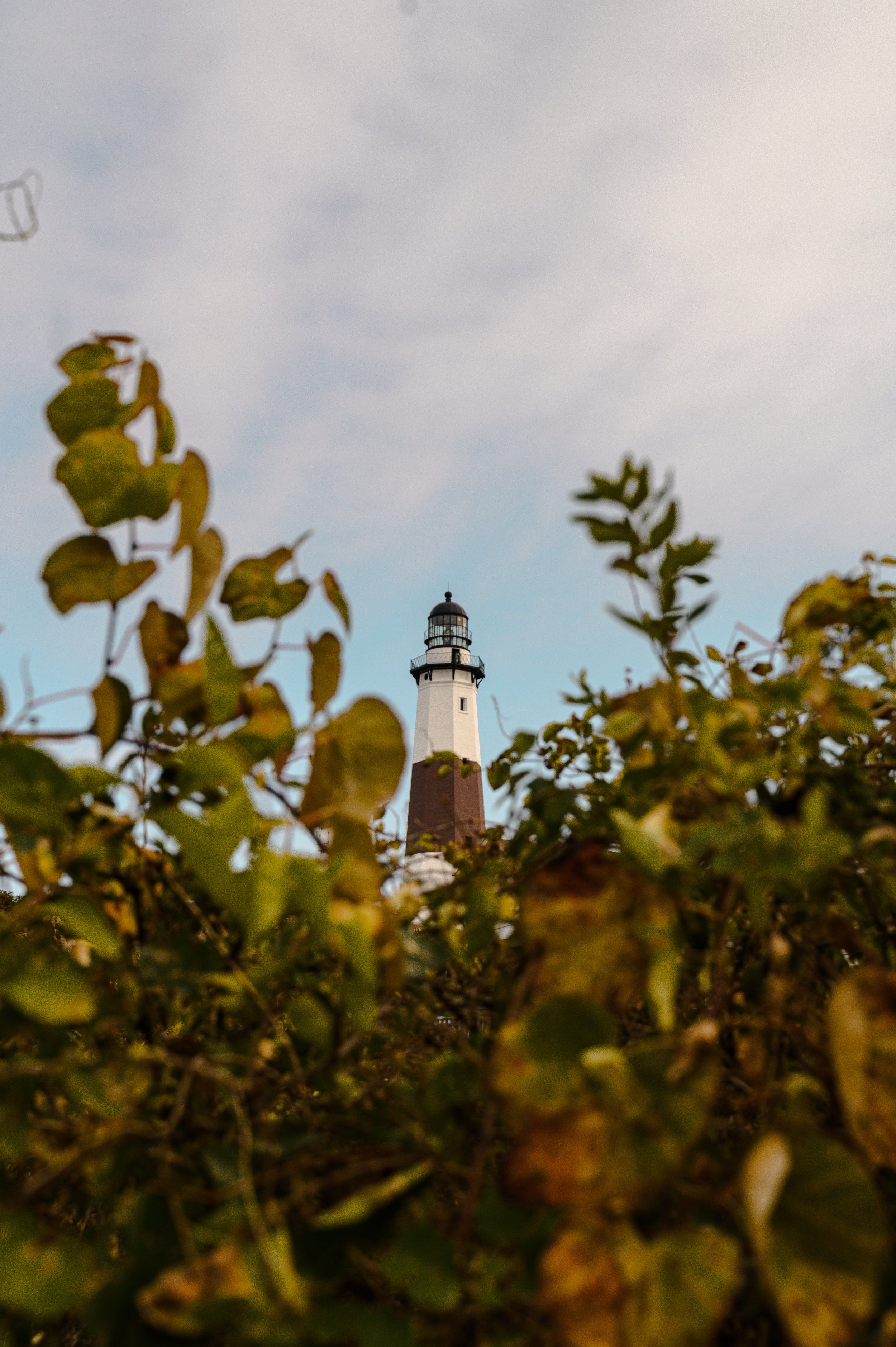 Sanoktastic Photograohy Pocono MTNS & The Catkills-81.jpg