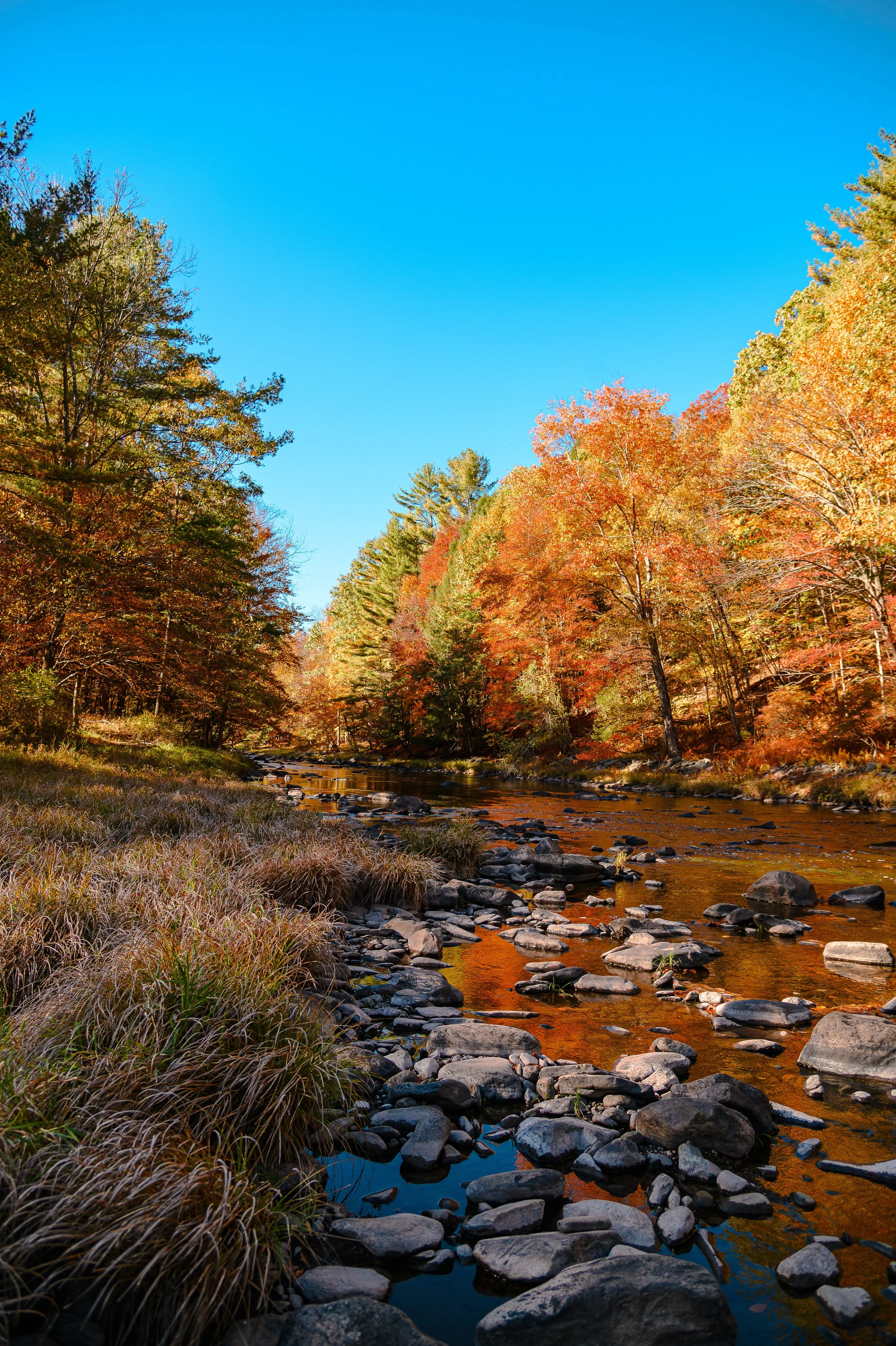 Sanoktastic Photograohy Pocono MTNS & The Catkills-6.jpg